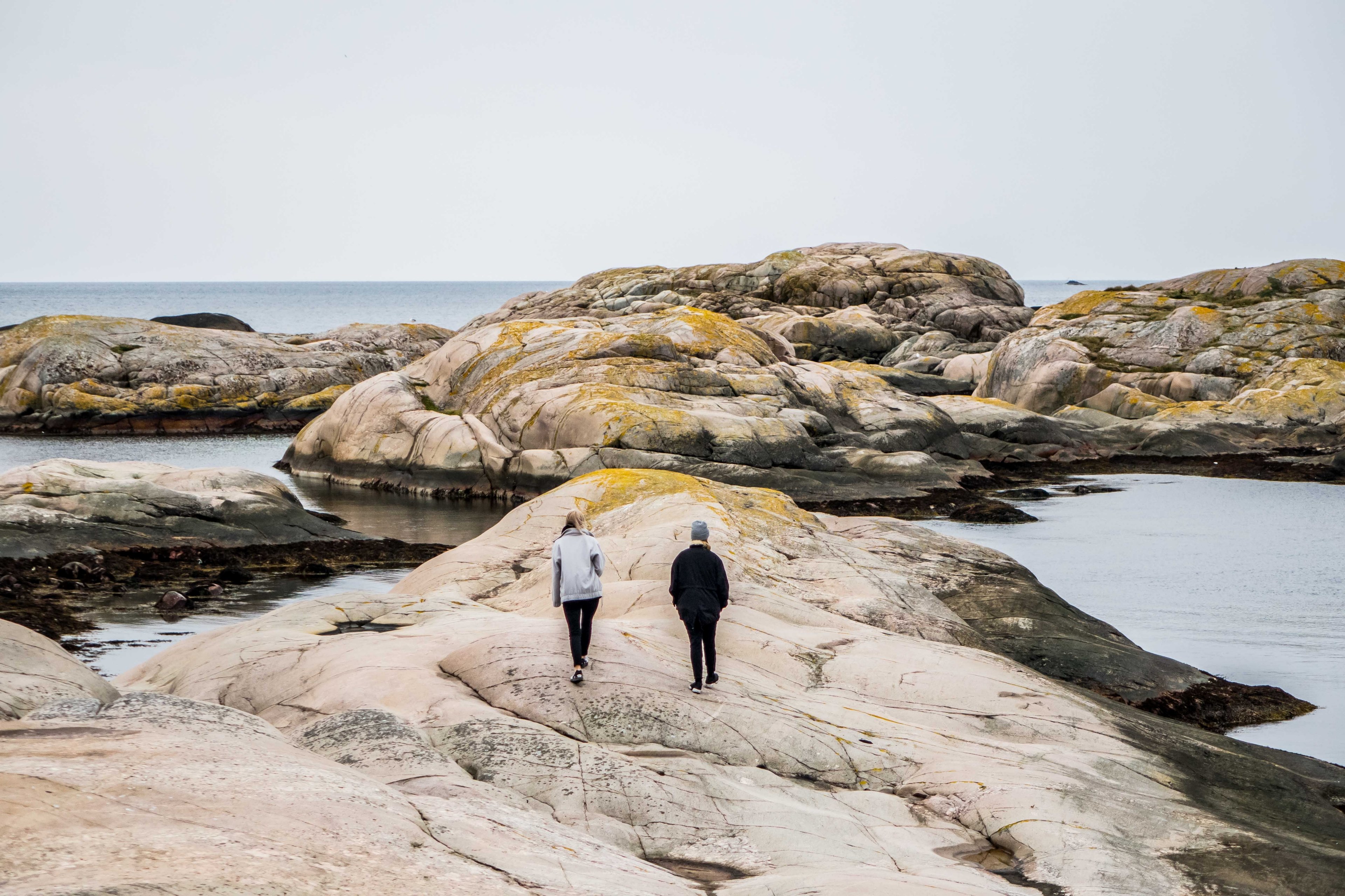 a duo strolling on a rocky shoreline during low tide, rocky shore walk 4k, HD Wallpaper