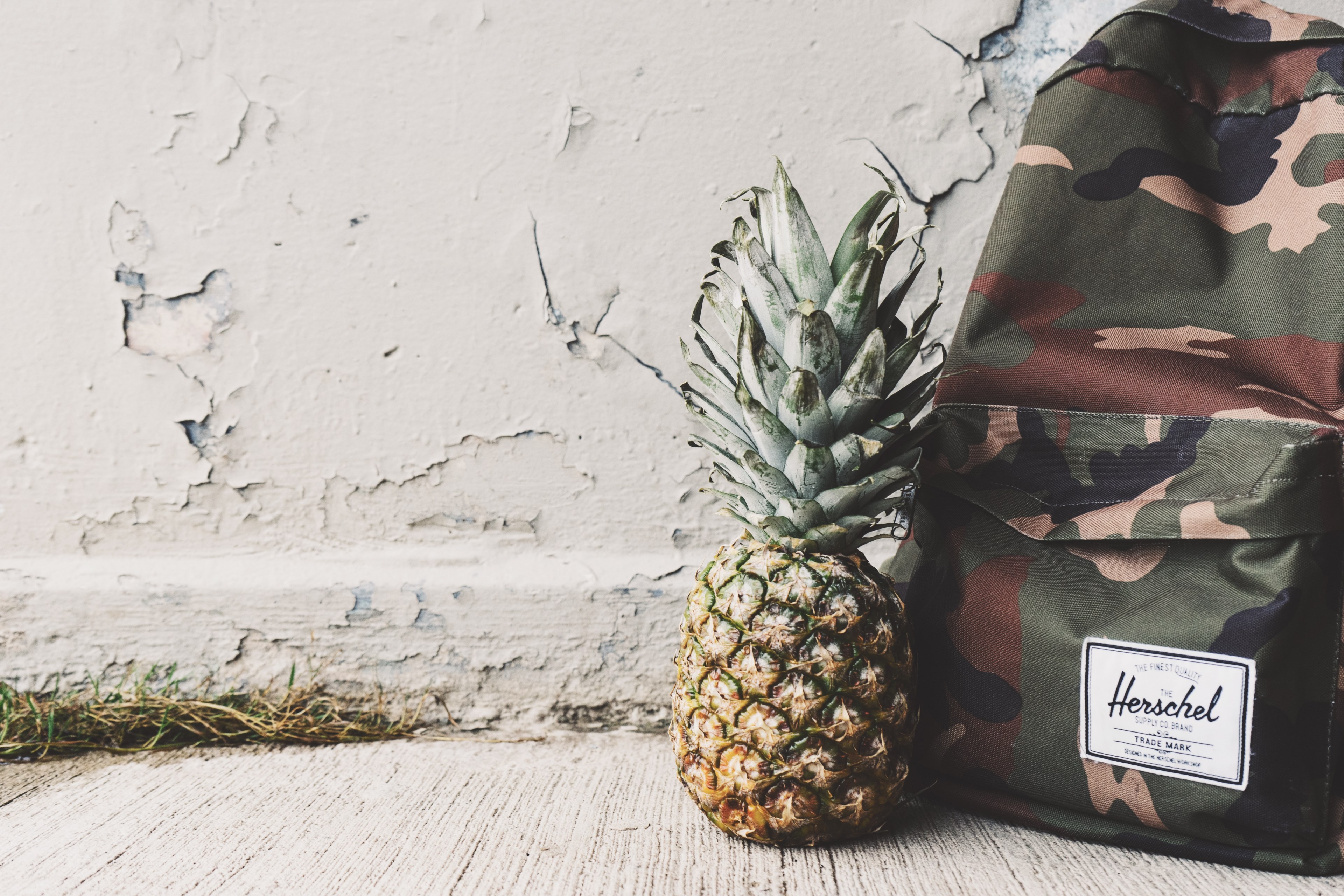 a pineapple next to a camo backpack on the floor, _pineapple and camo backpack 4k, HD Wallpaper