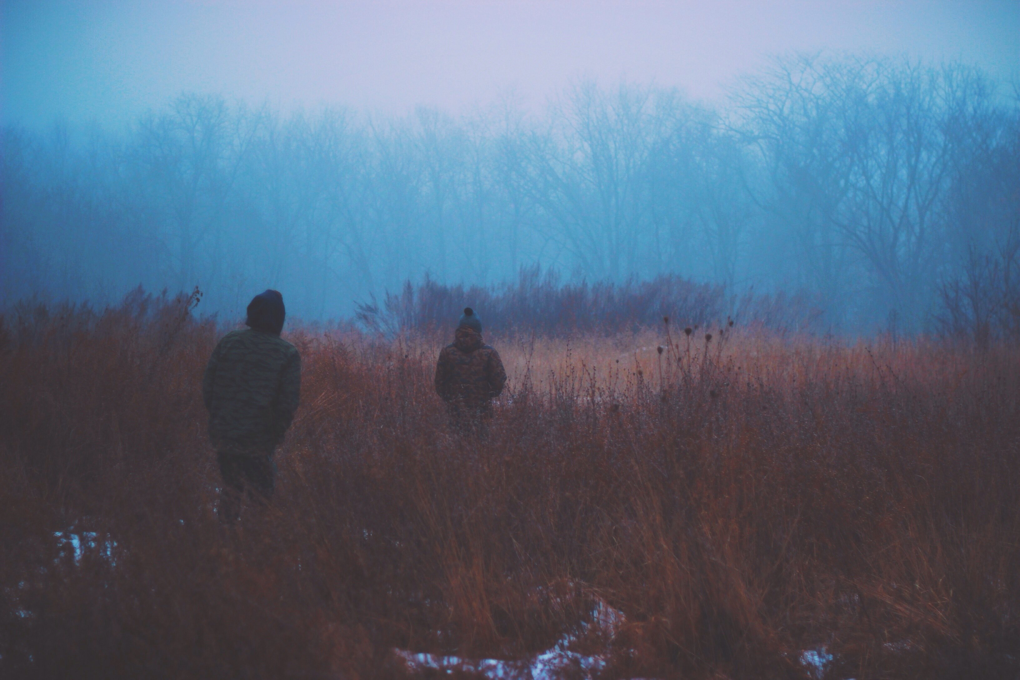 two people walking through brown grass on a cold evening, cold evening in a field 4k, HD Wallpaper