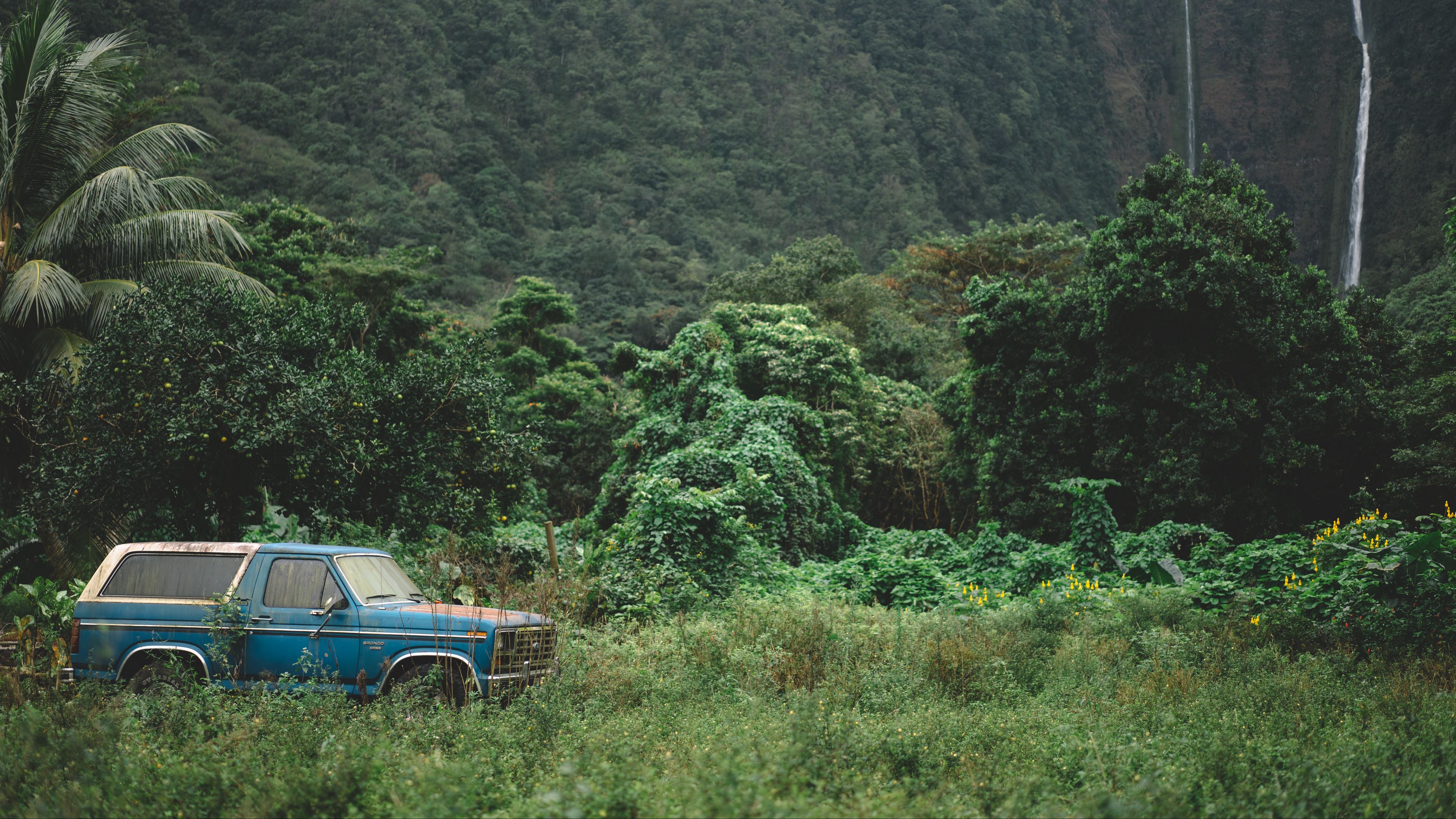 mountains, trees, travel, car, 4k, HD Wallpaper