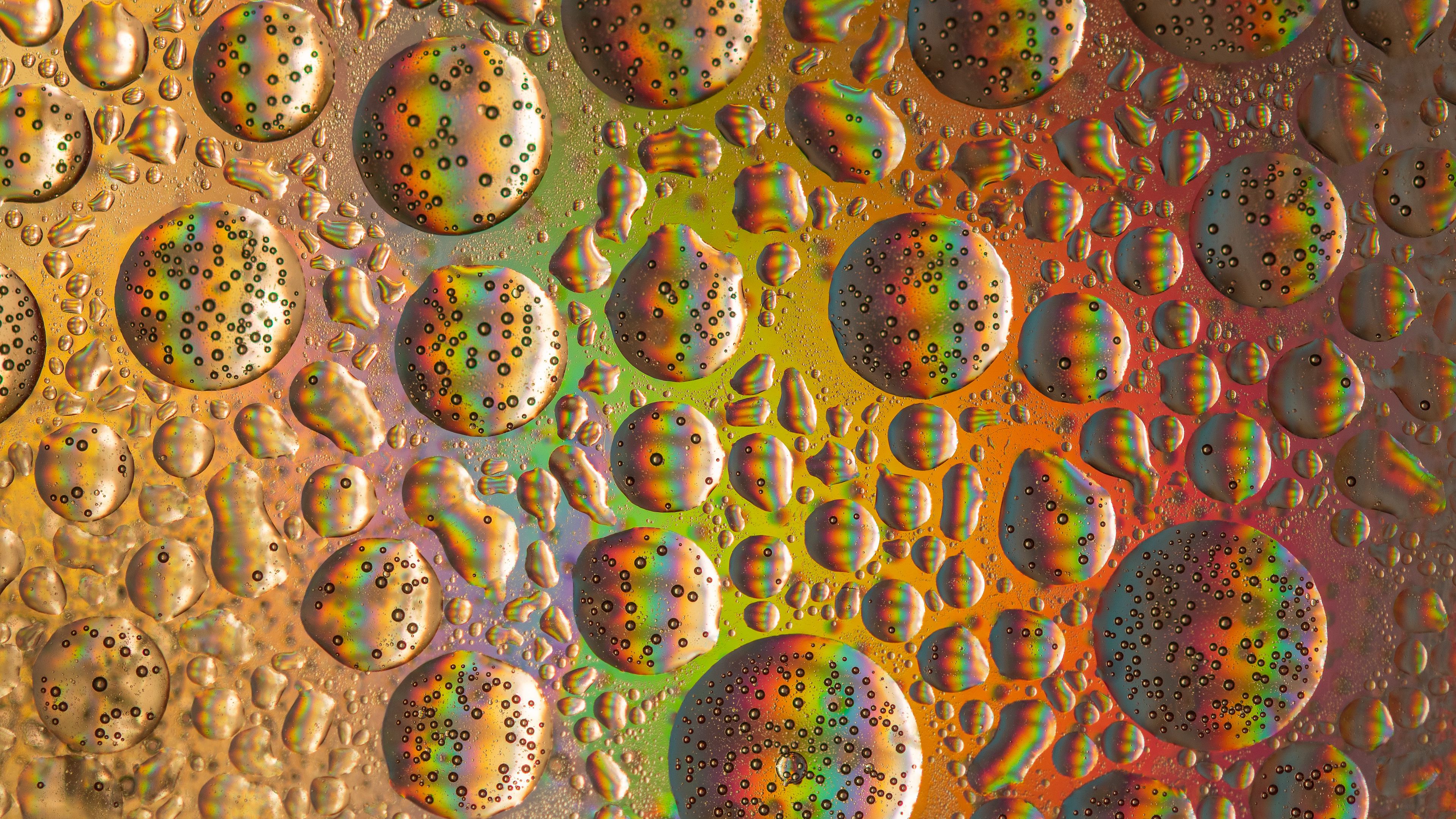 abstraction, rainbow, circle, bubble, 4k, HD Wallpaper