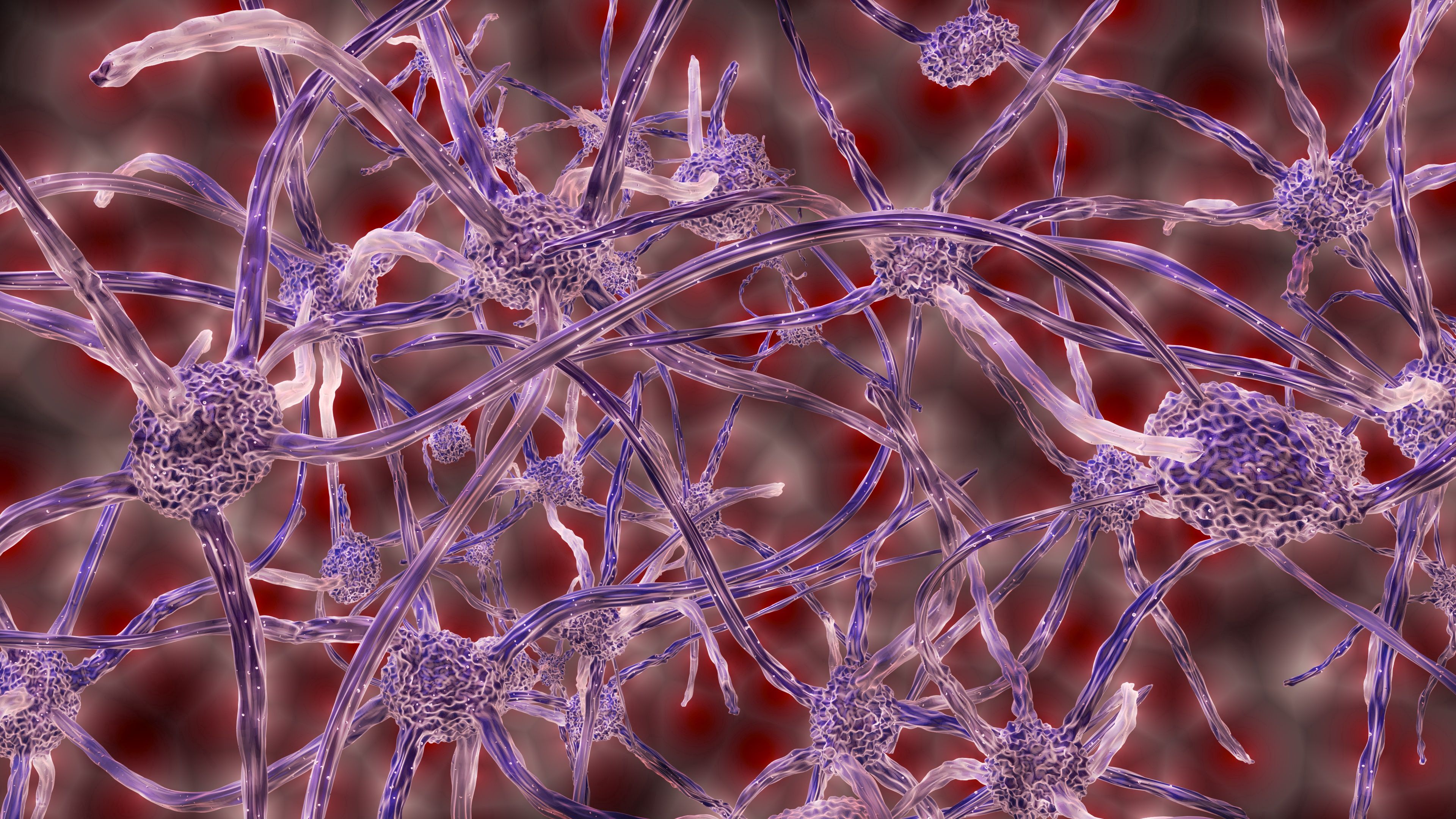 nerve cells, plexus, 3d, 4k, HD Wallpaper