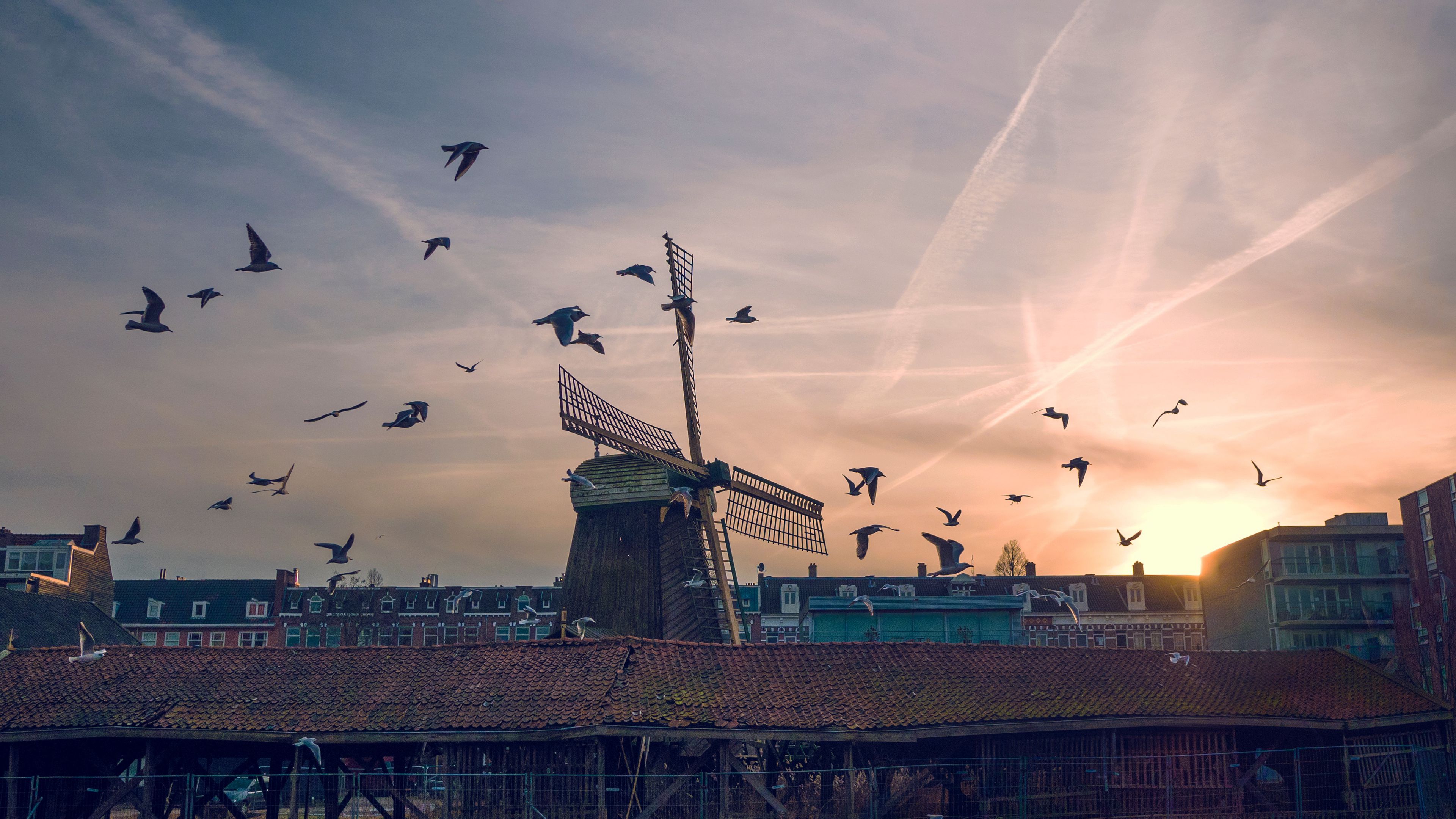 windmill, birds, buildings, sky, 4k, HD Wallpaper