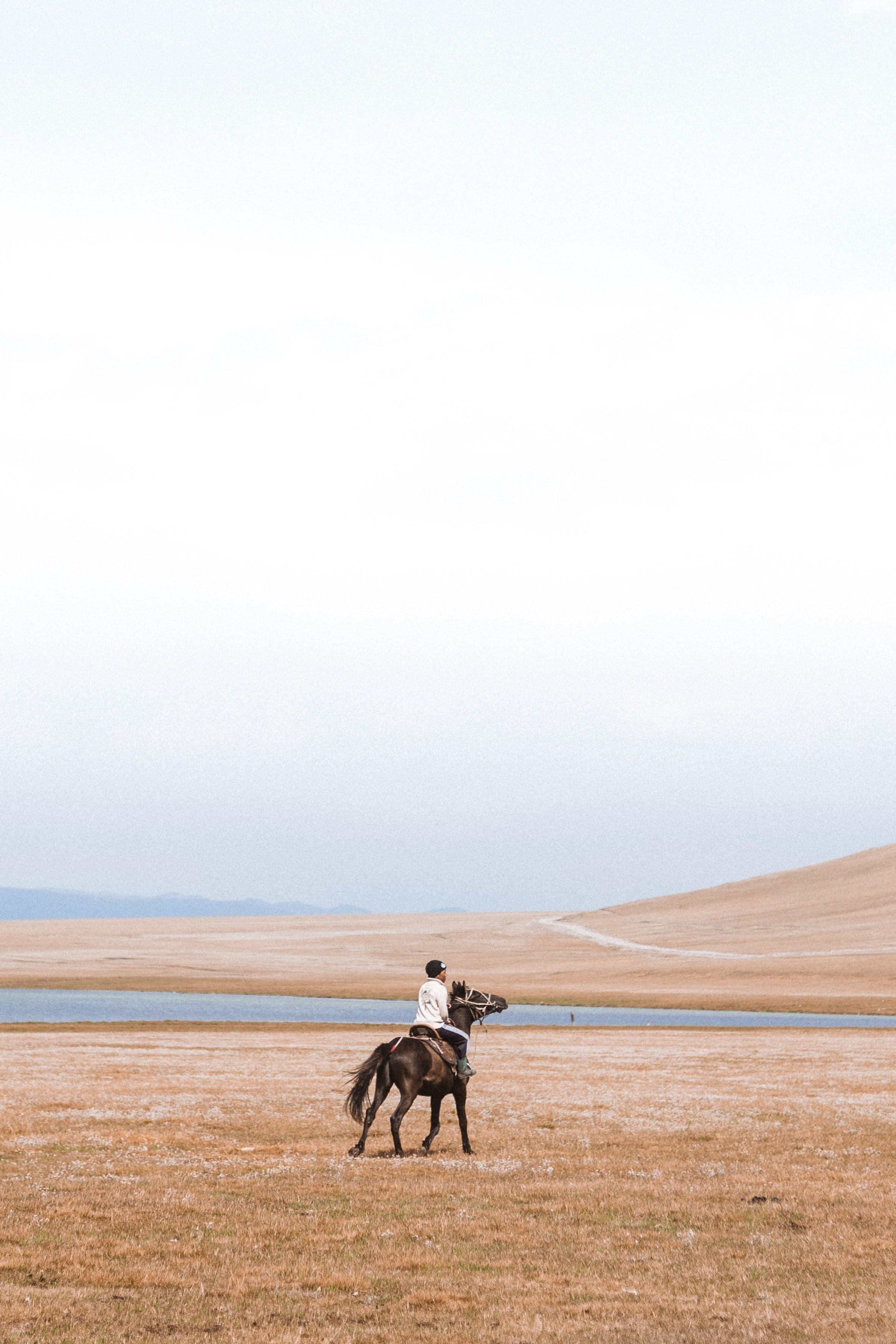 far in the horseizon 4k, Phone HD Wallpaper