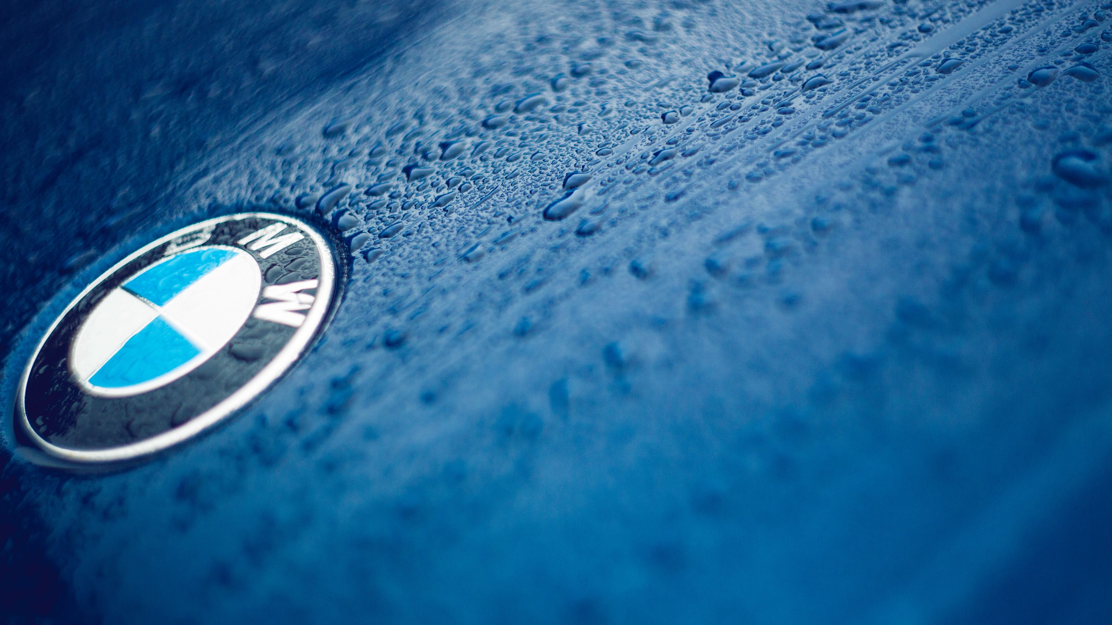 bmw, logo, drops, 4k, HD Wallpaper