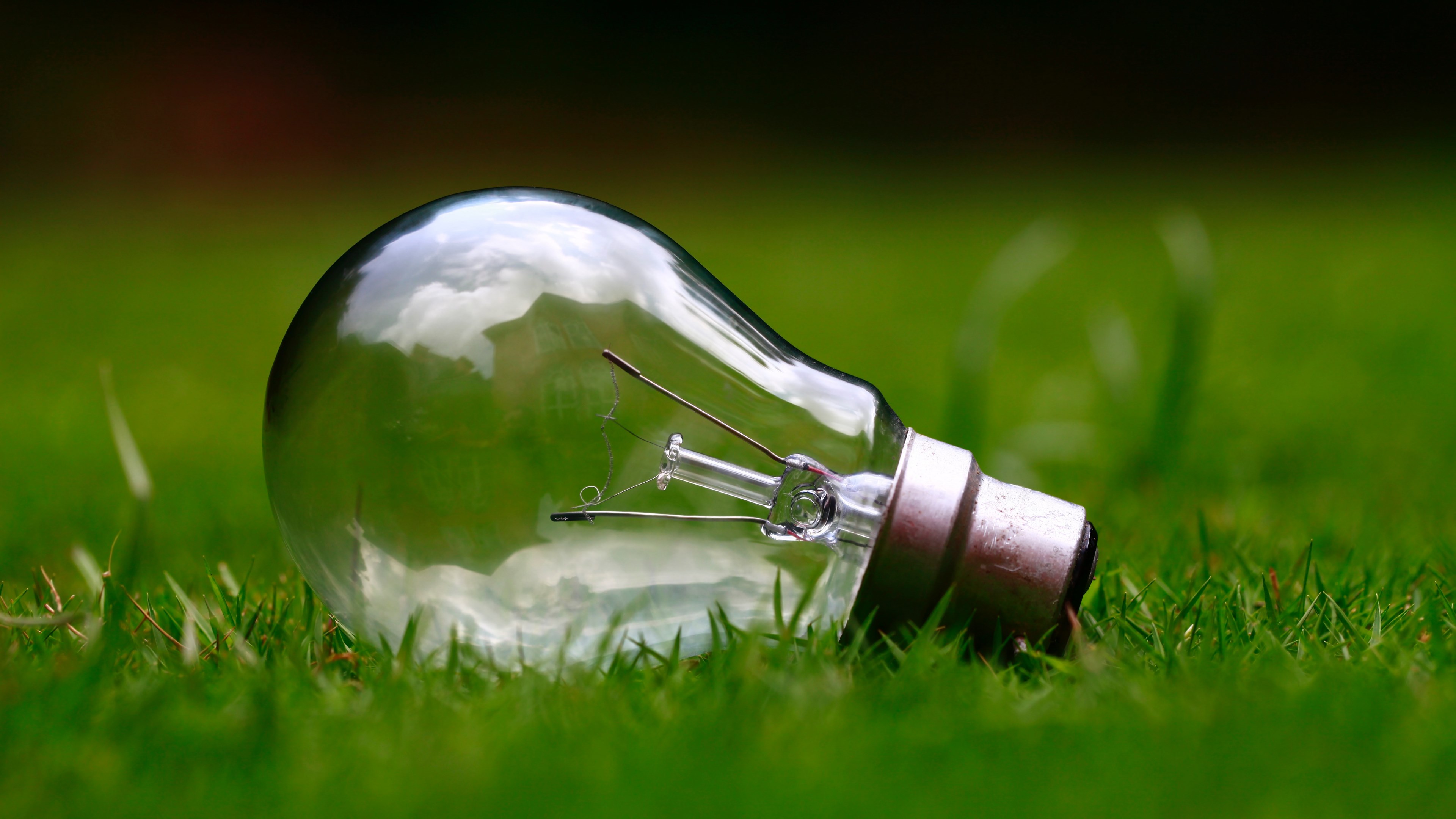 close up of a light bulb lying on green grass, light bulb on green grass 4k, HD Wallpaper