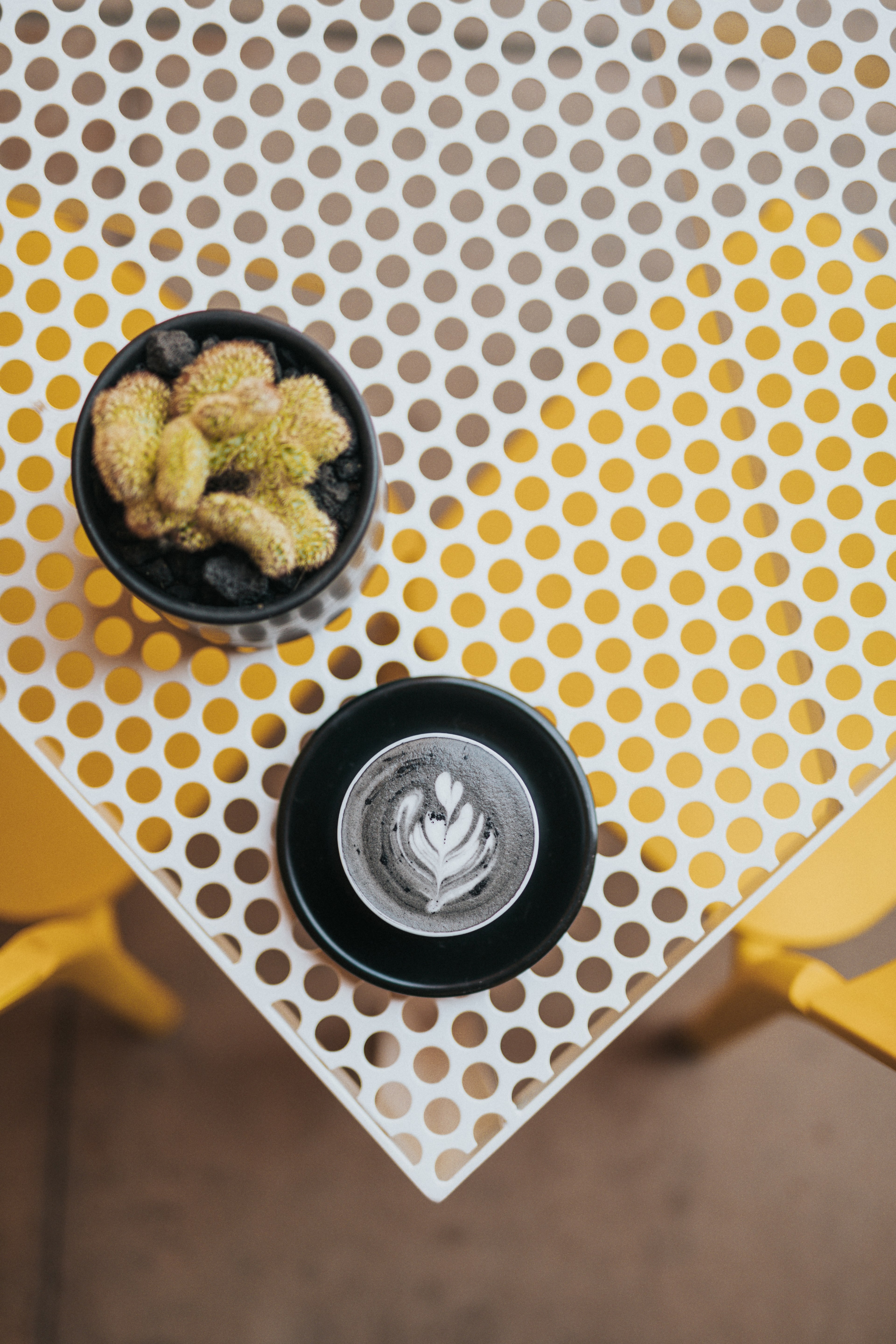 overhead view of a cafe table with potted succulent and a charcoal latte, the other black coffee 4k, Phone HD Wallpaper