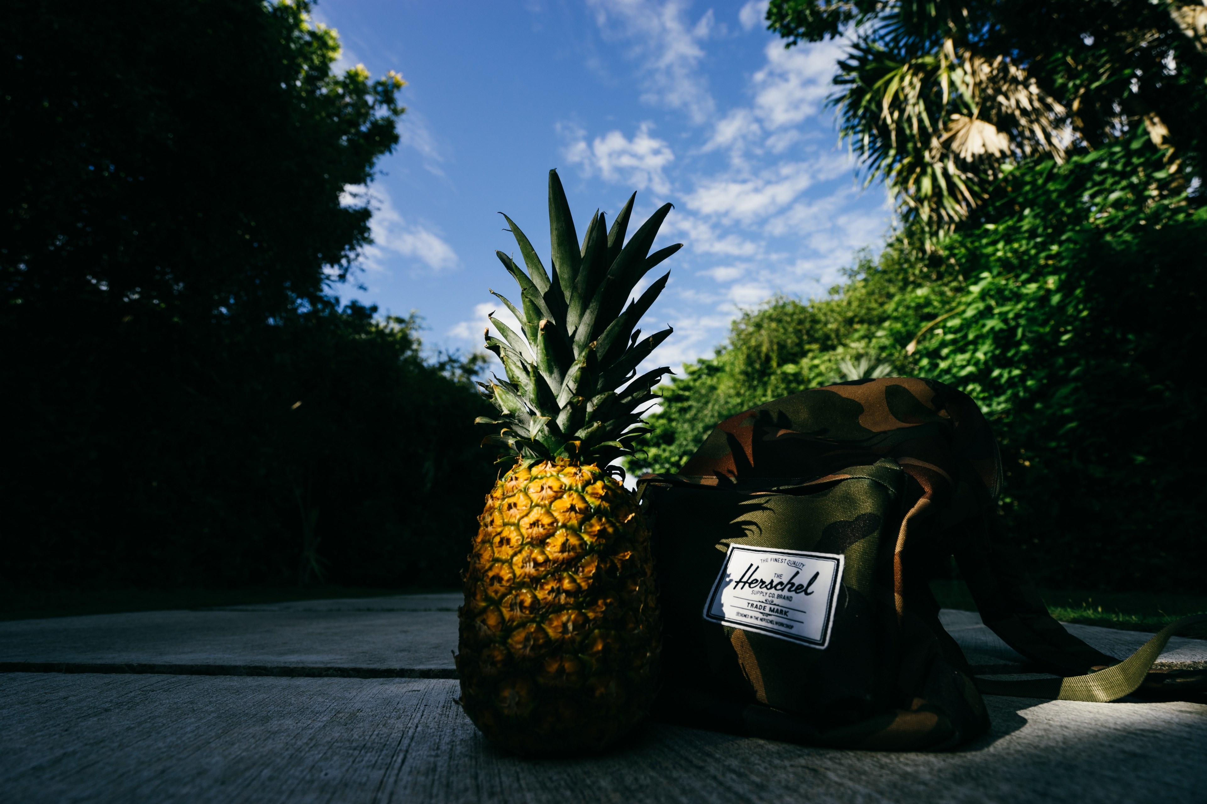 pineapple and backpack in the shade, _pineapple and backpack 4k, HD Wallpaper
