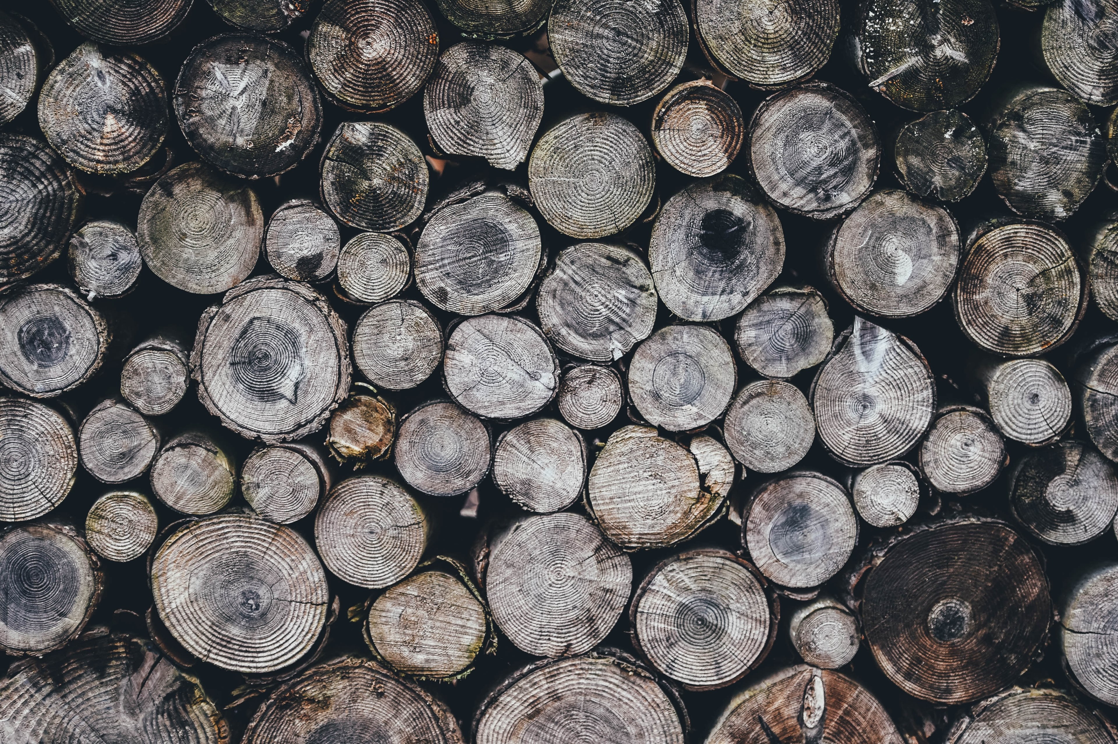 grain wood wall and timber stack 4k, HD Wallpaper