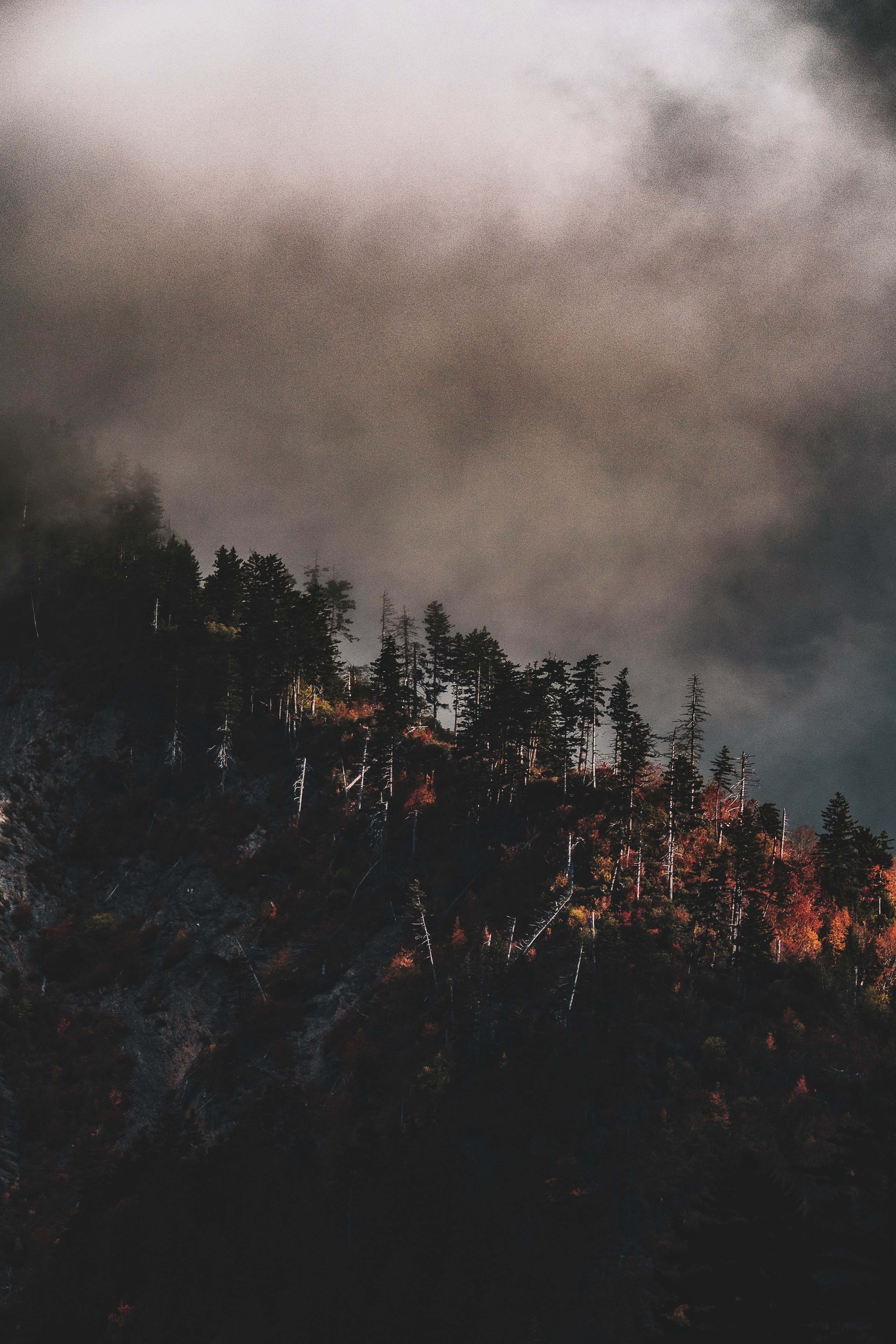 layers of light 4k, Phone HD Wallpaper
