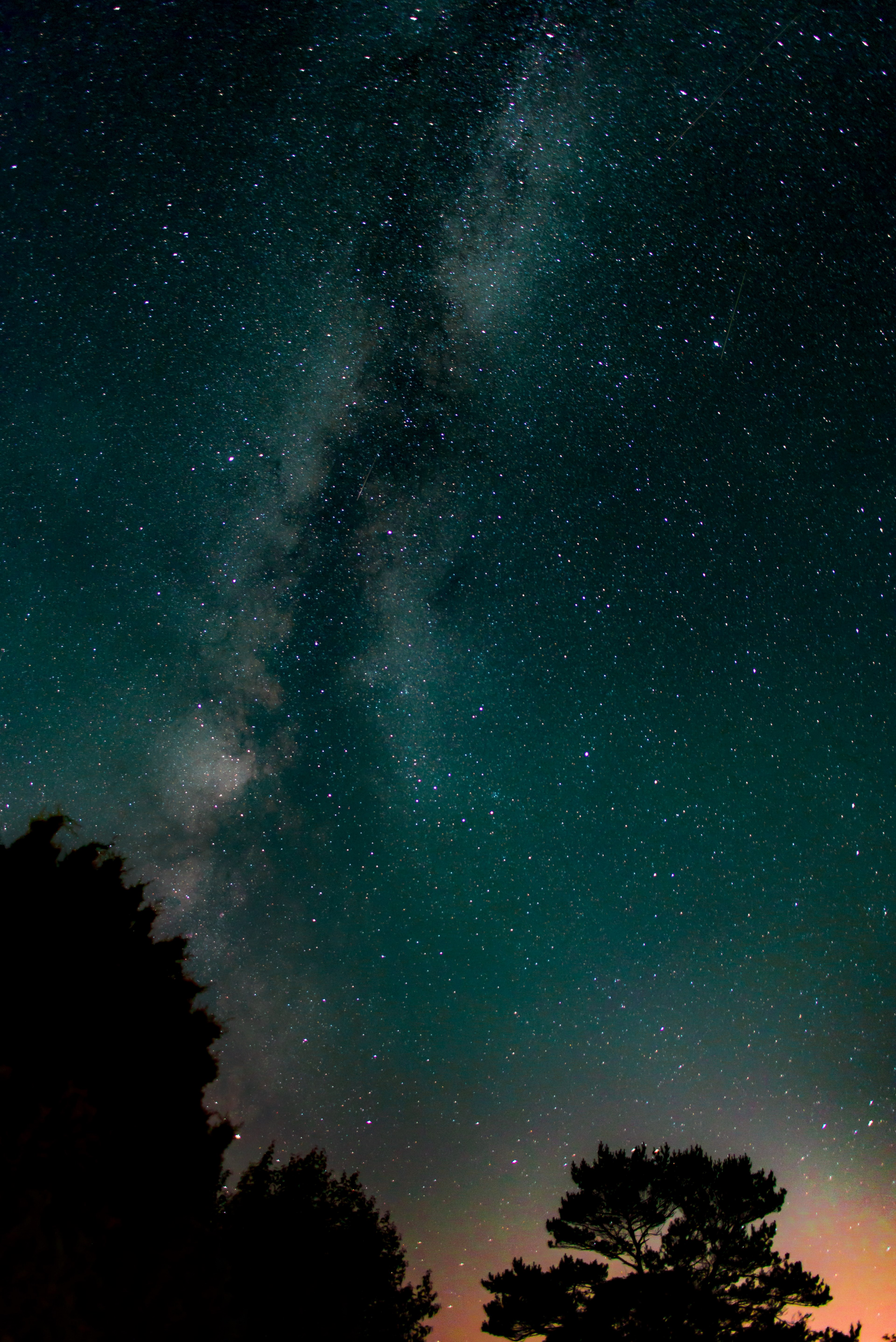 the milky way rises above the silhouette of trees in chatham, _unimaginable 4k, Phone HD Wallpaper