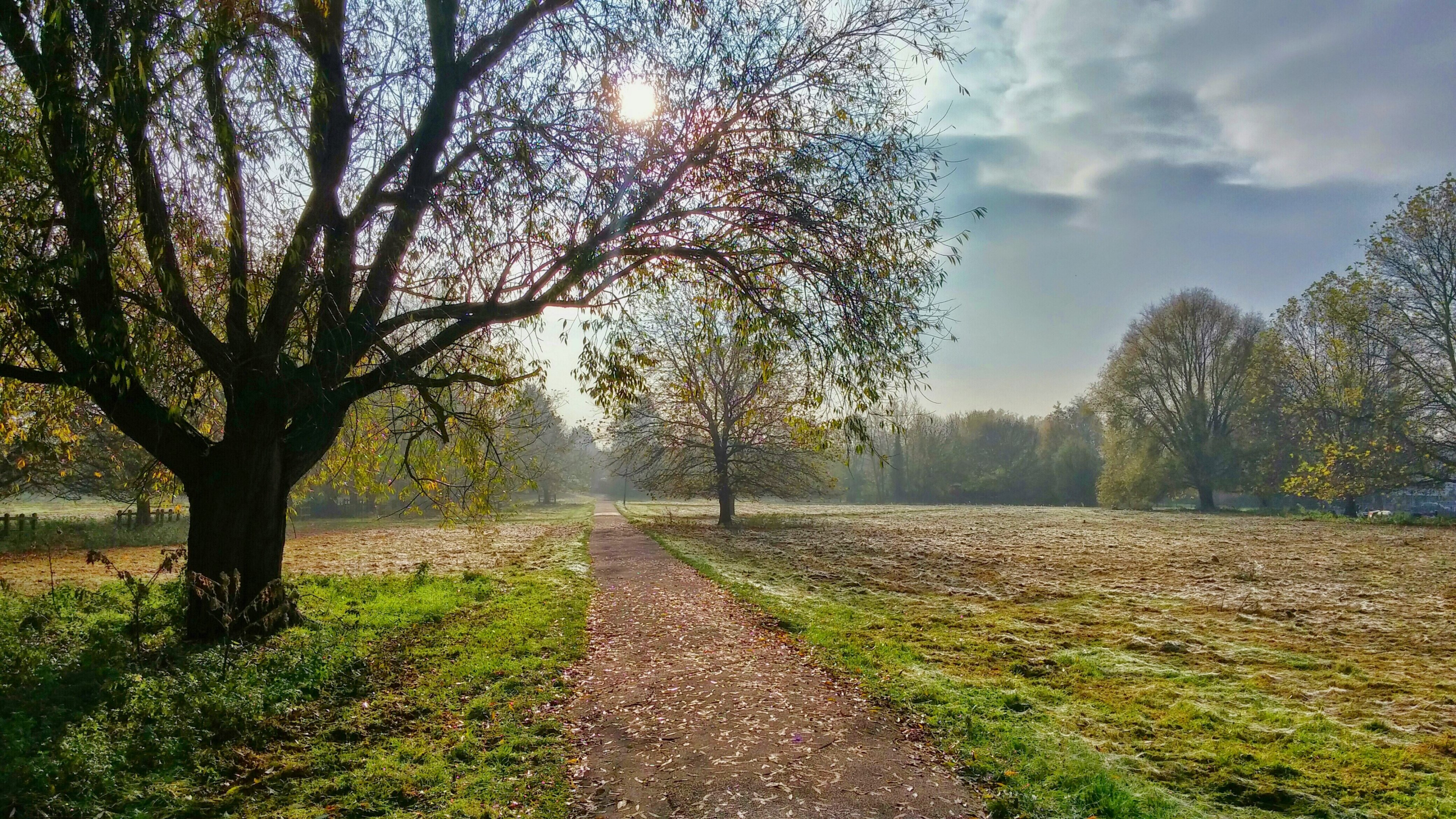 a leaf covered path in an empty park on an autumns day, autumn park path 4k, HD Wallpaper