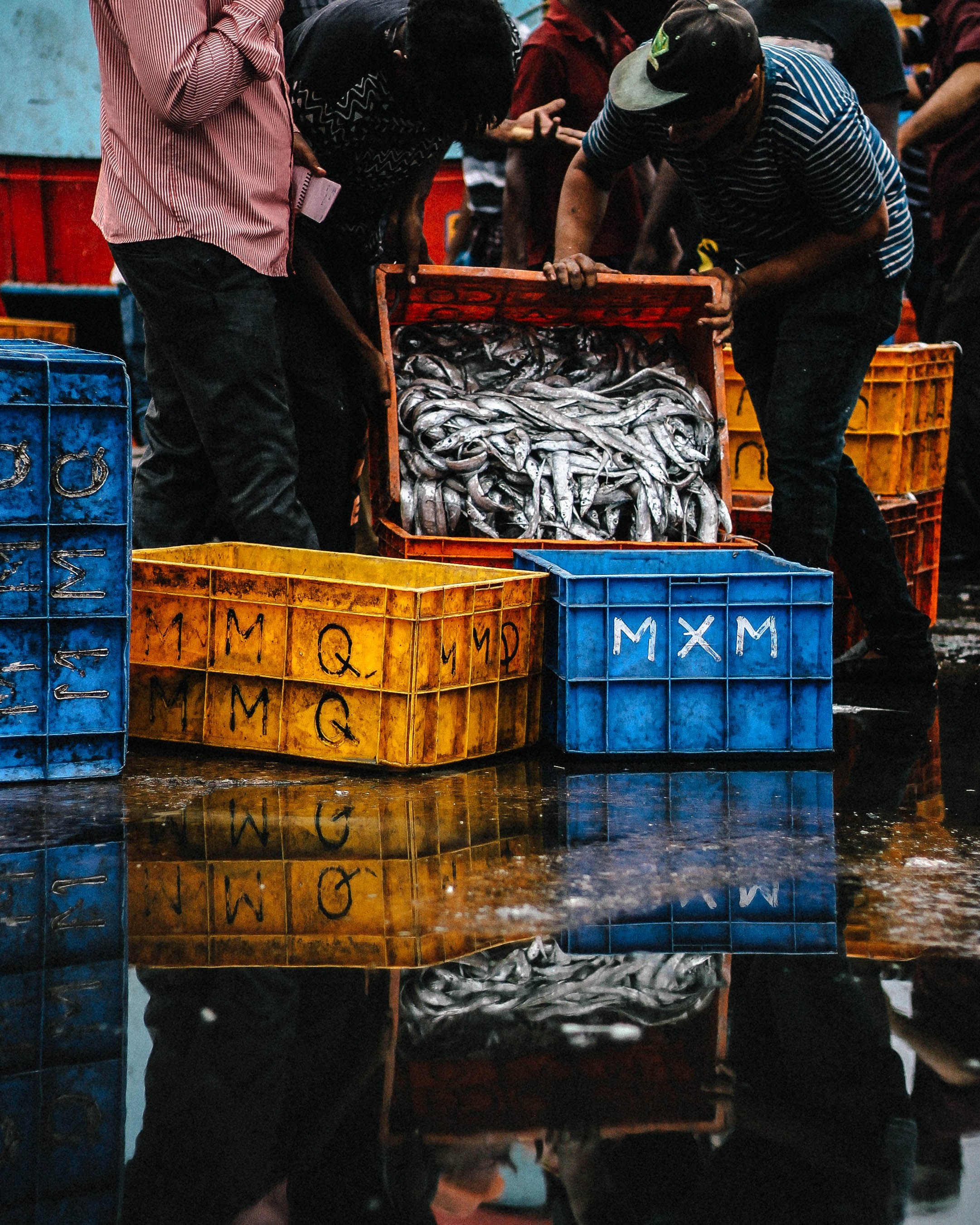 people pouring caught fish into a plastic crate, fresh catch at a fish market 4k, Phone HD Wallpaper
