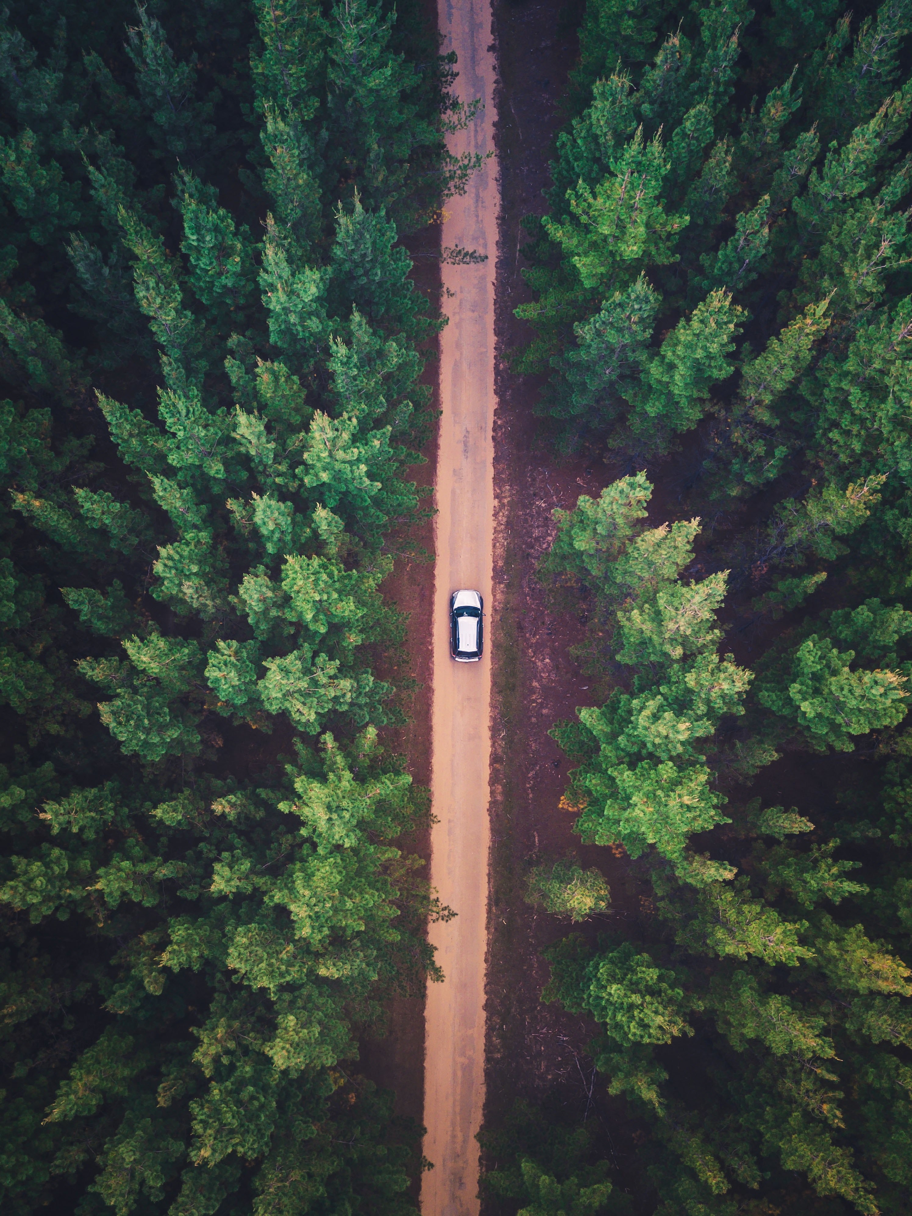 venture 4k, Phone HD Wallpaper