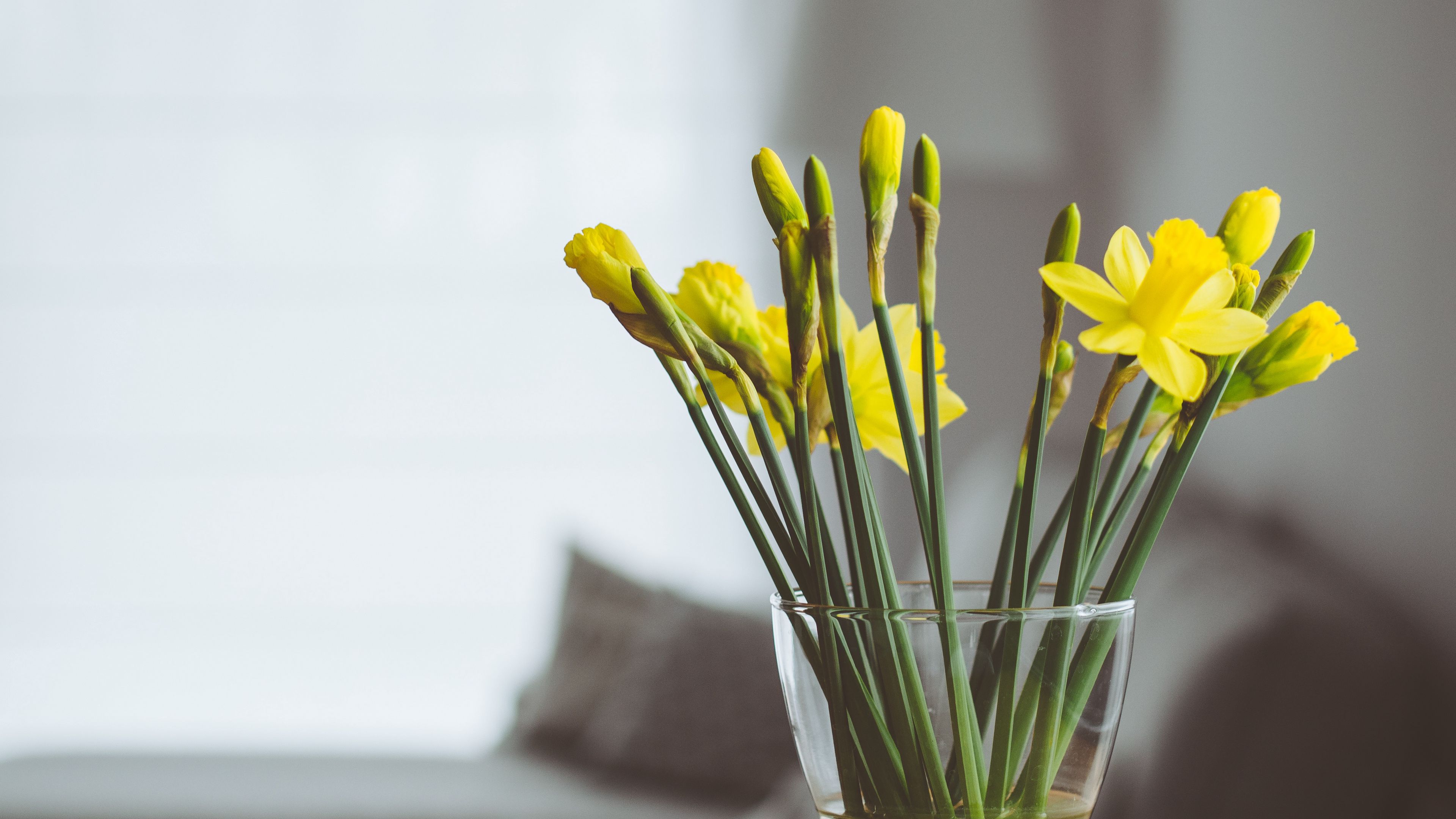 flowers, vase, bouquet, 4k, HD Wallpaper