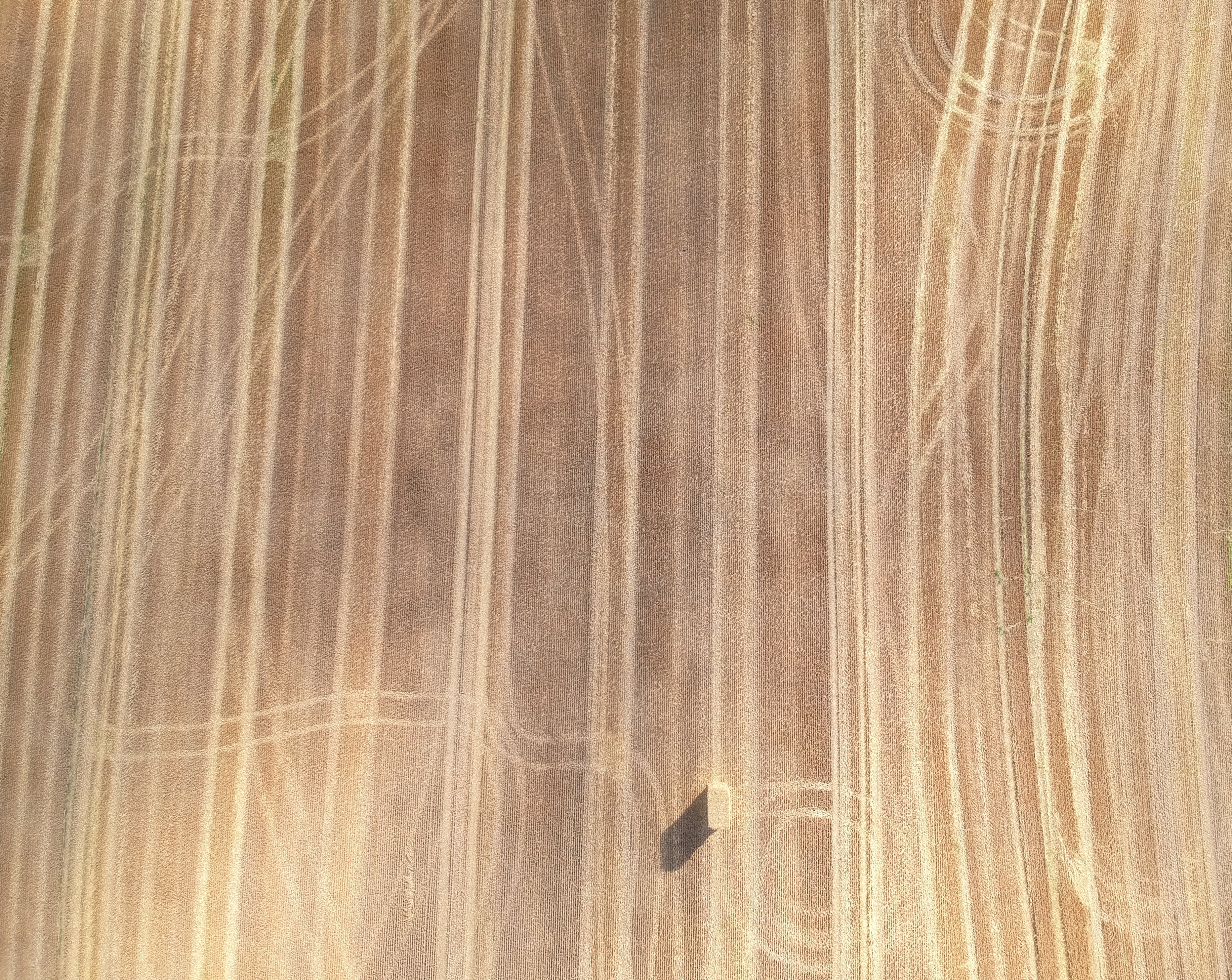 aerial view field crops and wheat 4k, HD Wallpaper