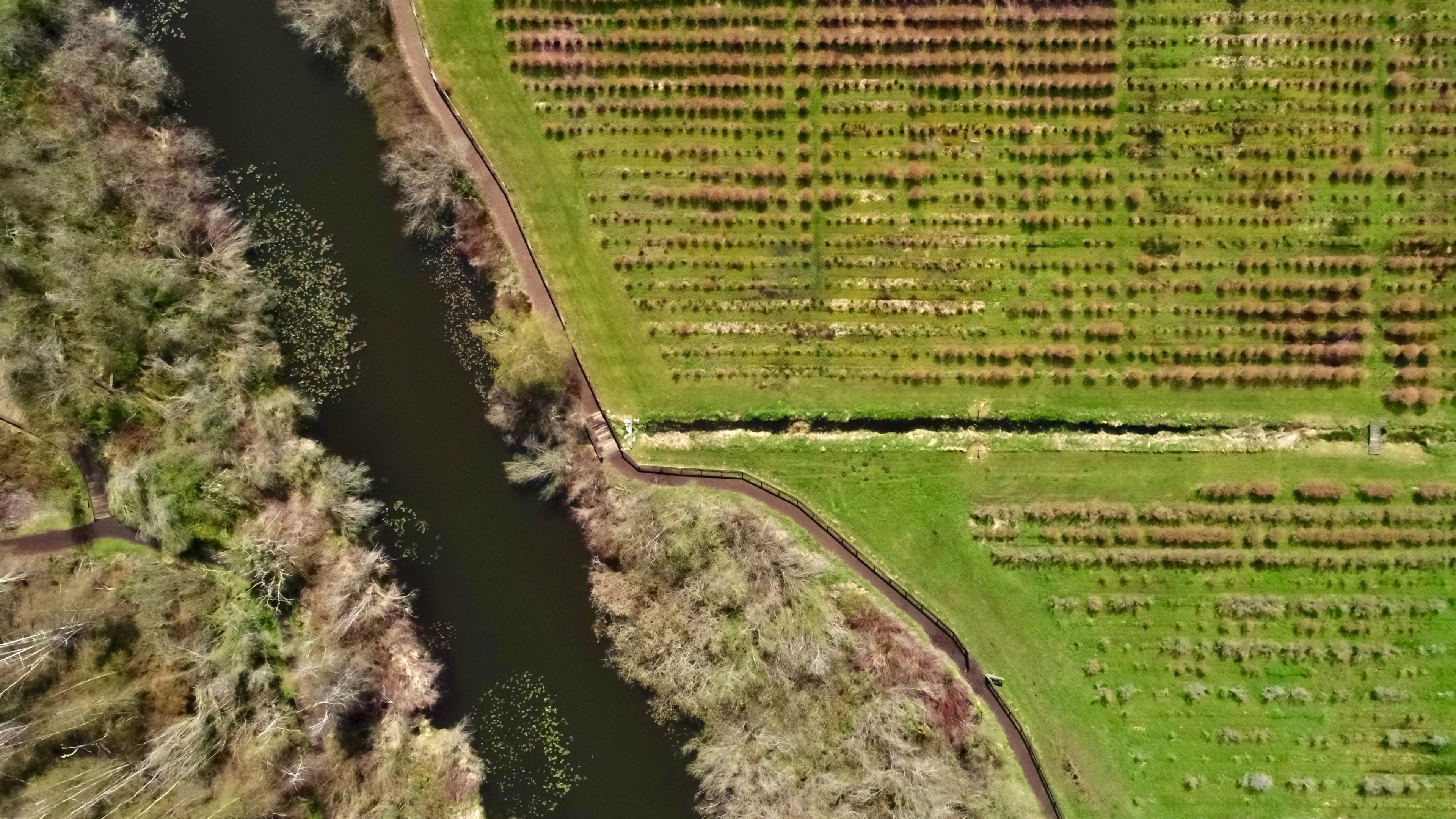 wetland forest aerial and nature 4k, HD Wallpaper