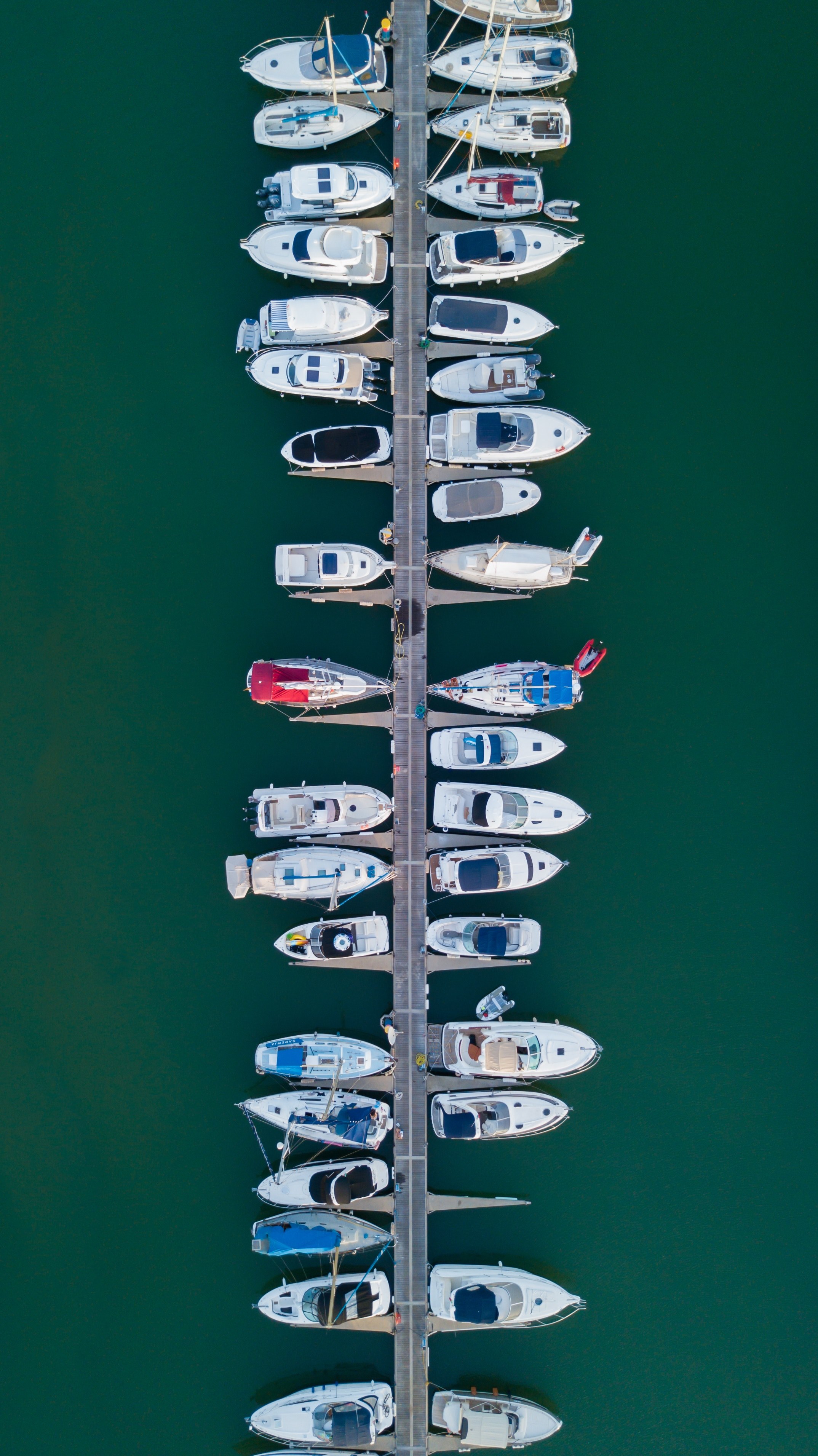floating around_ 4k, Phone HD Wallpaper