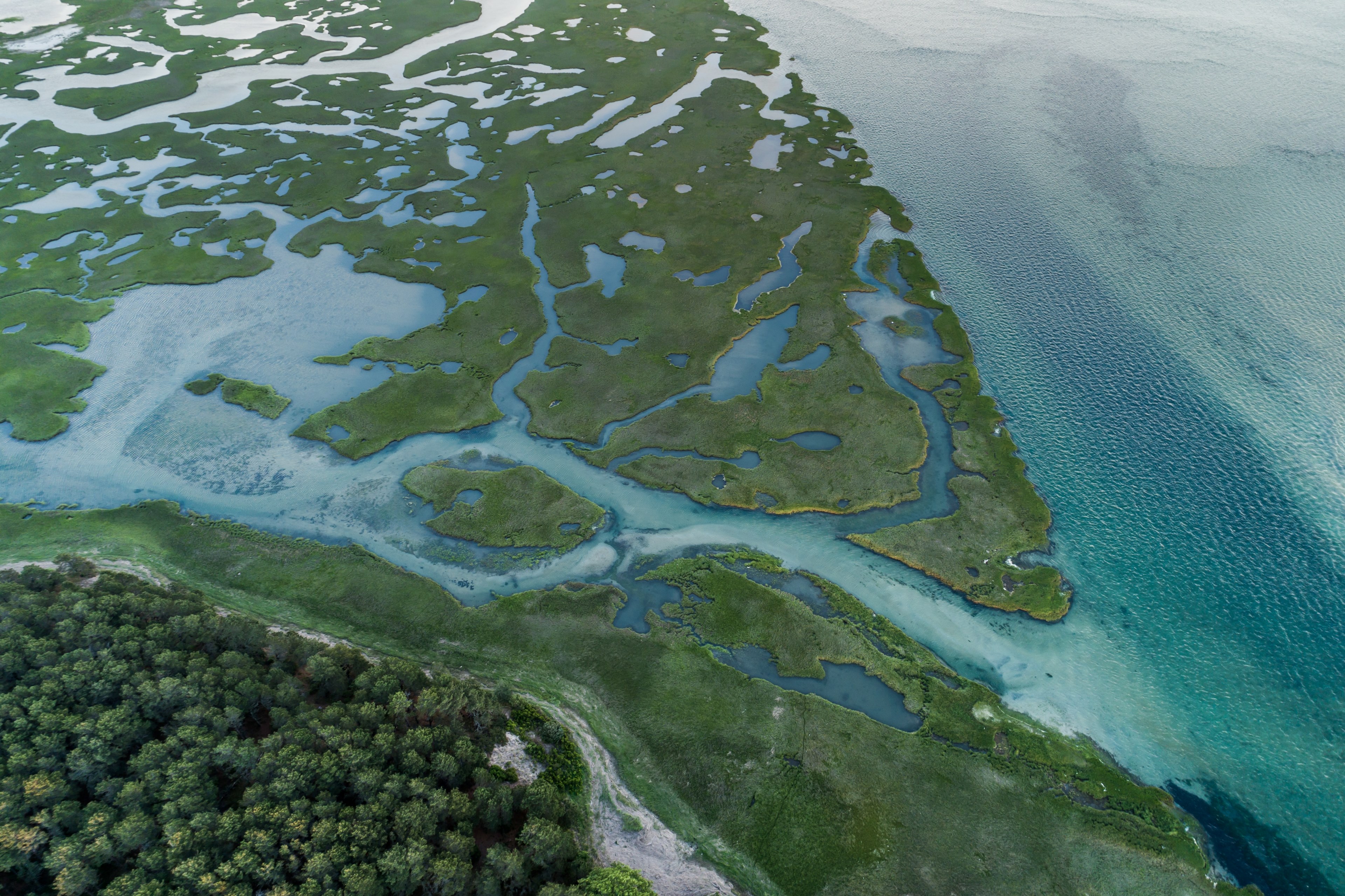 a drone shot of green islets near at the shore of a lake, green lake shoreline 4k, HD Wallpaper