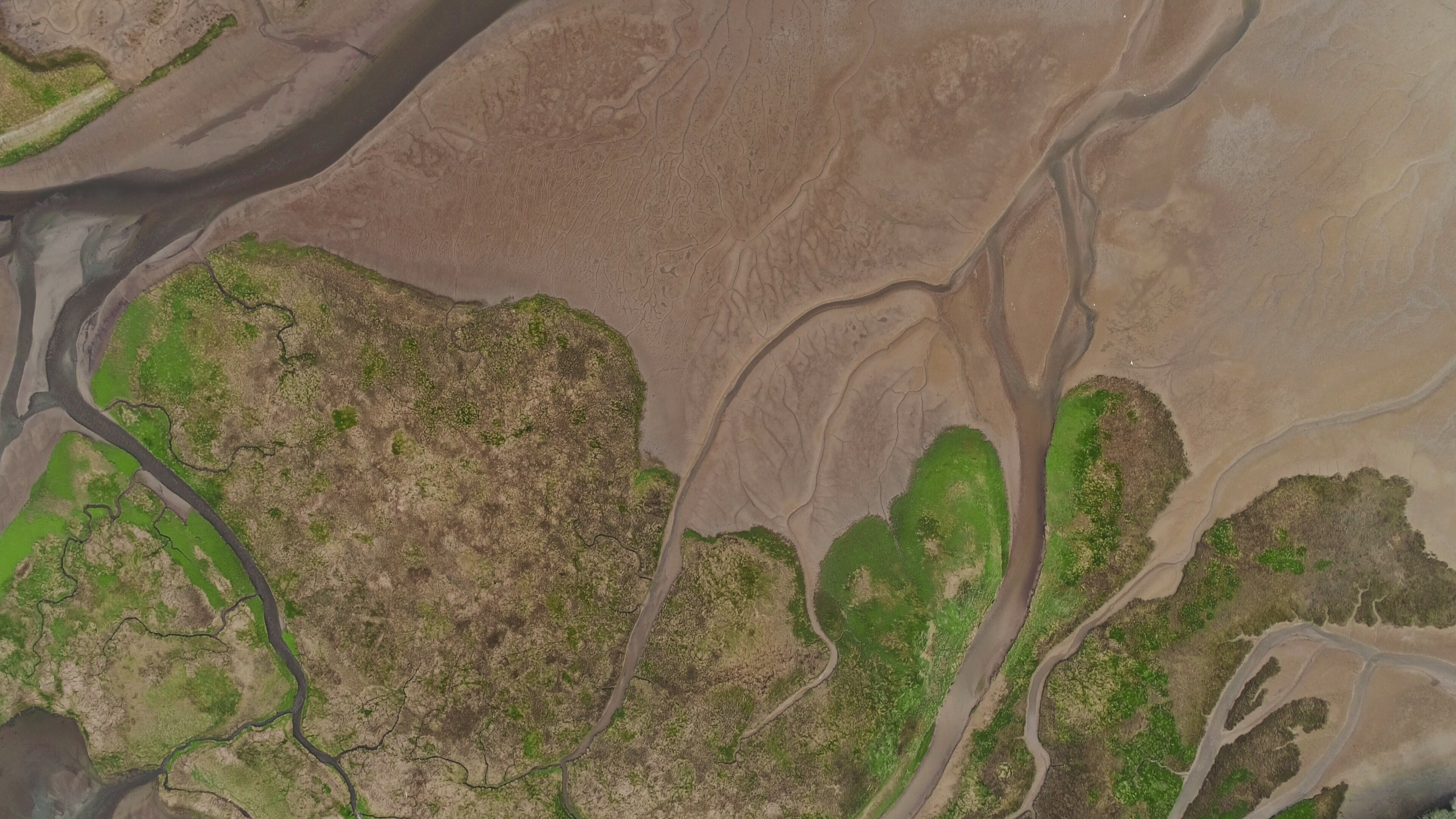 a drone shot of a marsh in a river estuary in the discovery bay, over discover bay 4k, HD Wallpaper