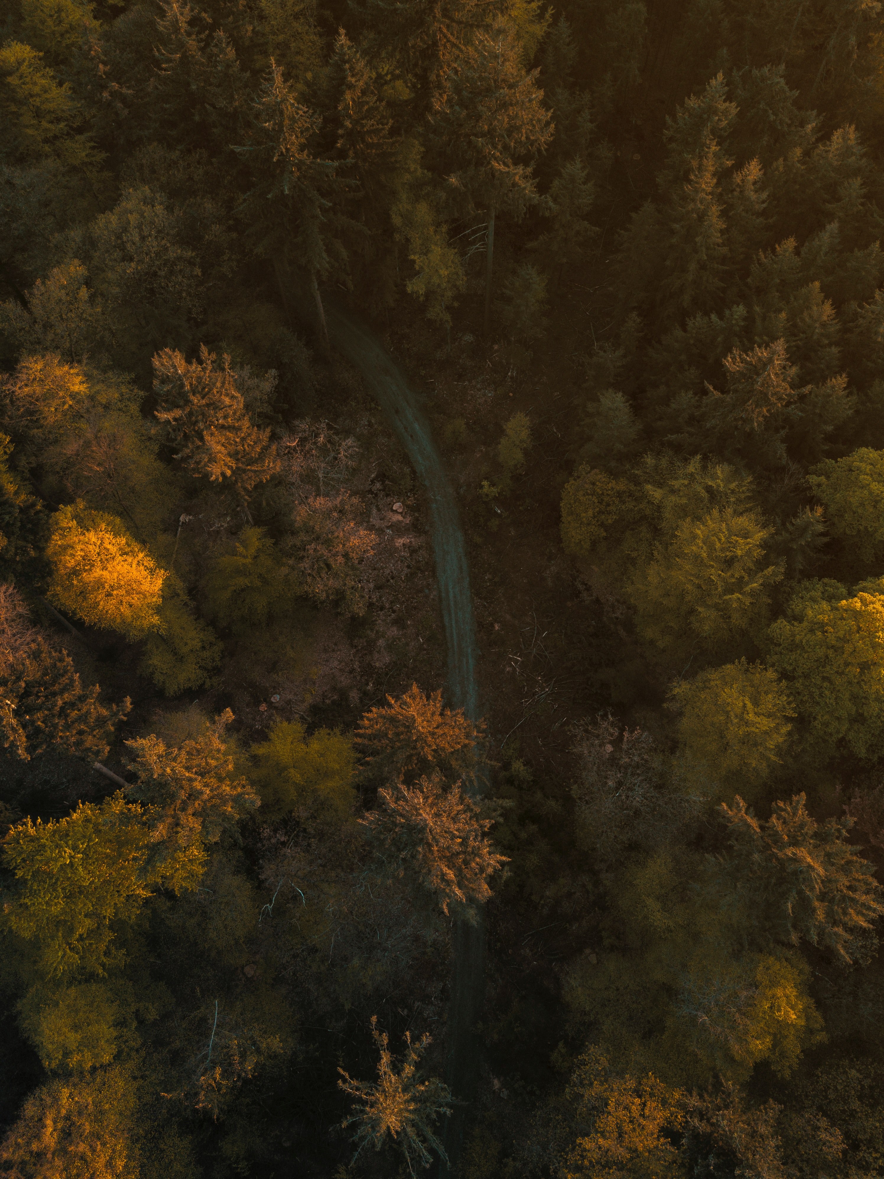 lonely road 4k, Phone HD Wallpaper