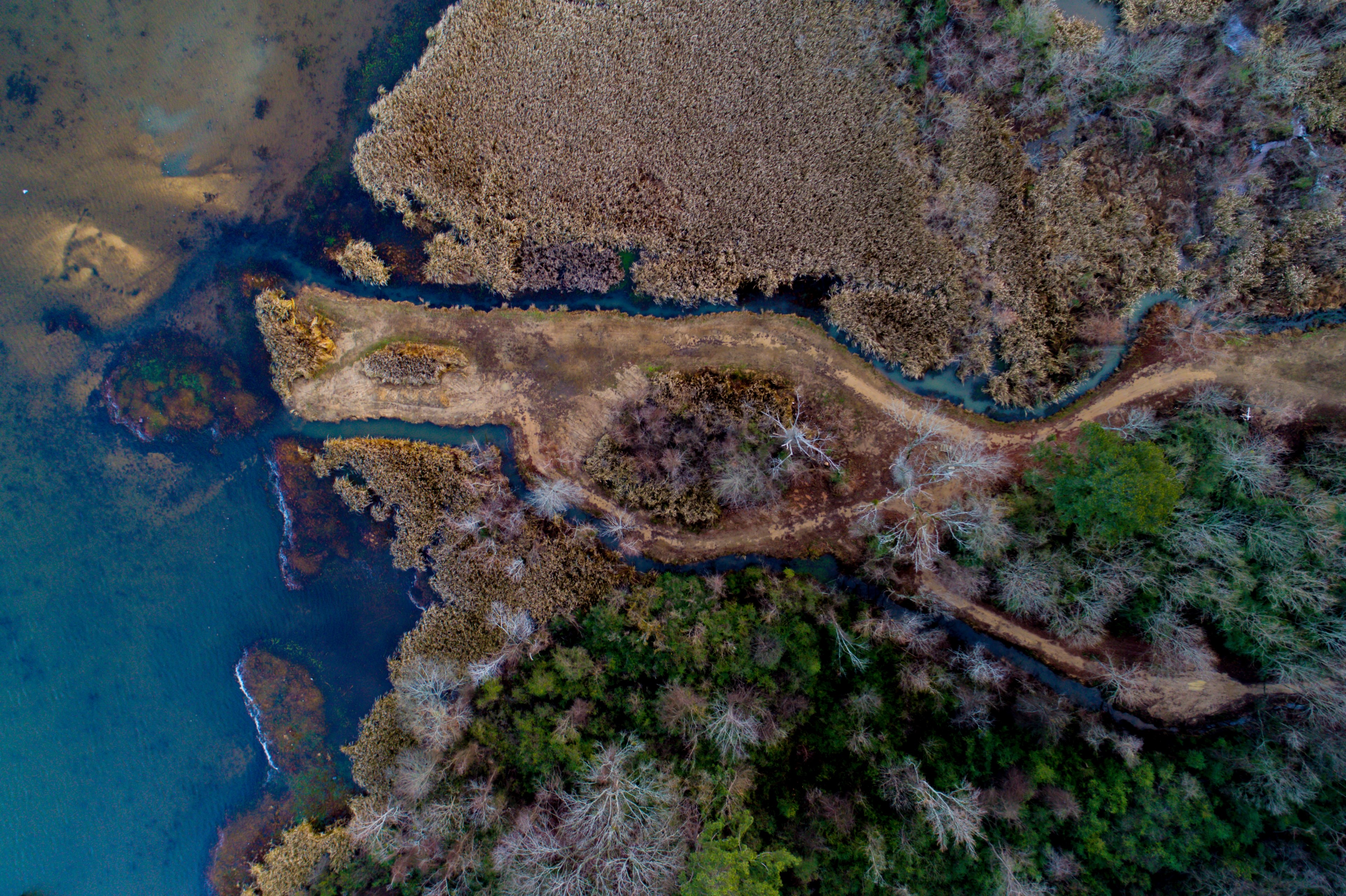 drone view of the river estuary at guntersville alabama united states, river estuary drone view 4k, HD Wallpaper