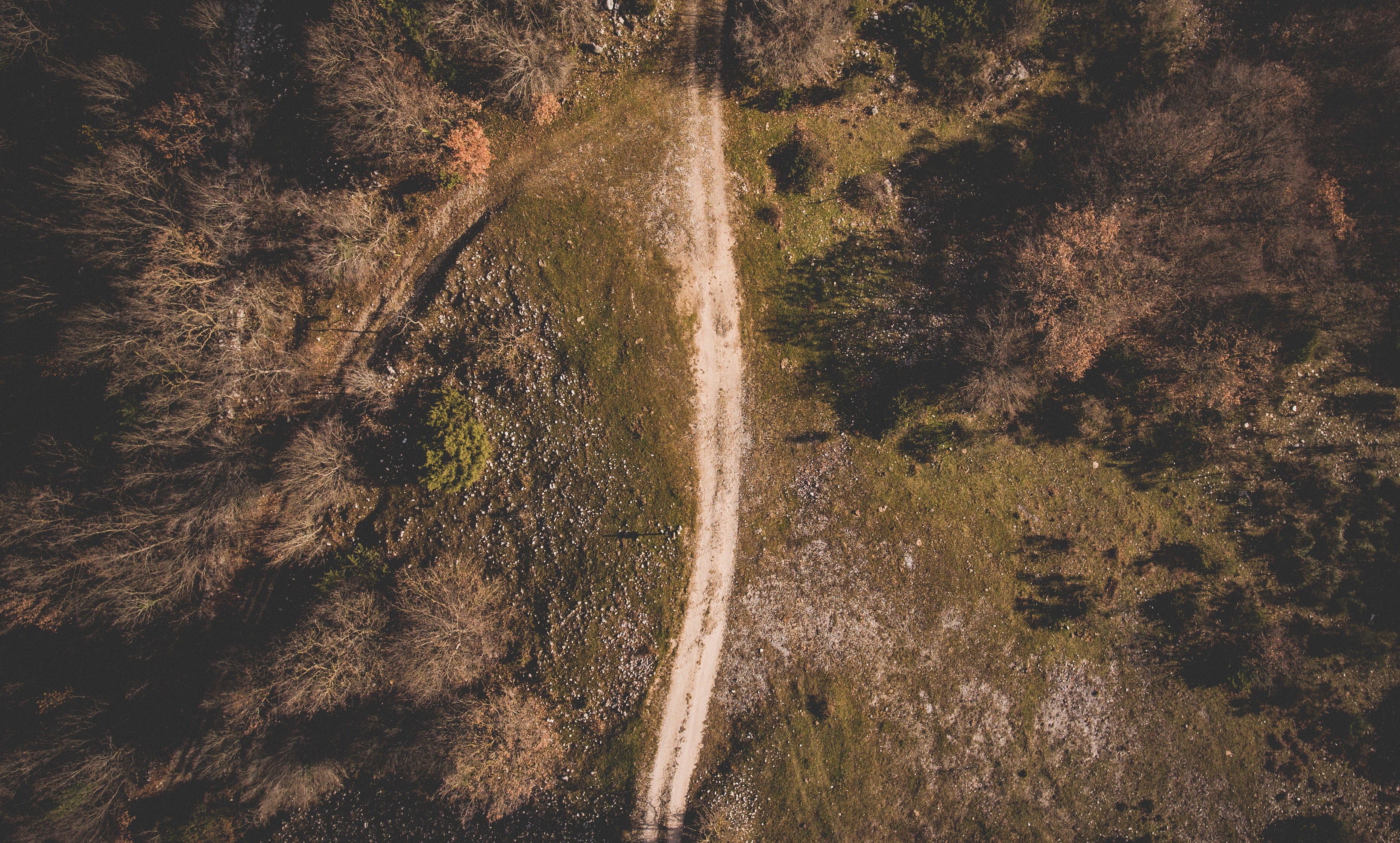 a drone shot of a dirt path near a stretch of forest, forest pathway from above 4k, HD Wallpaper