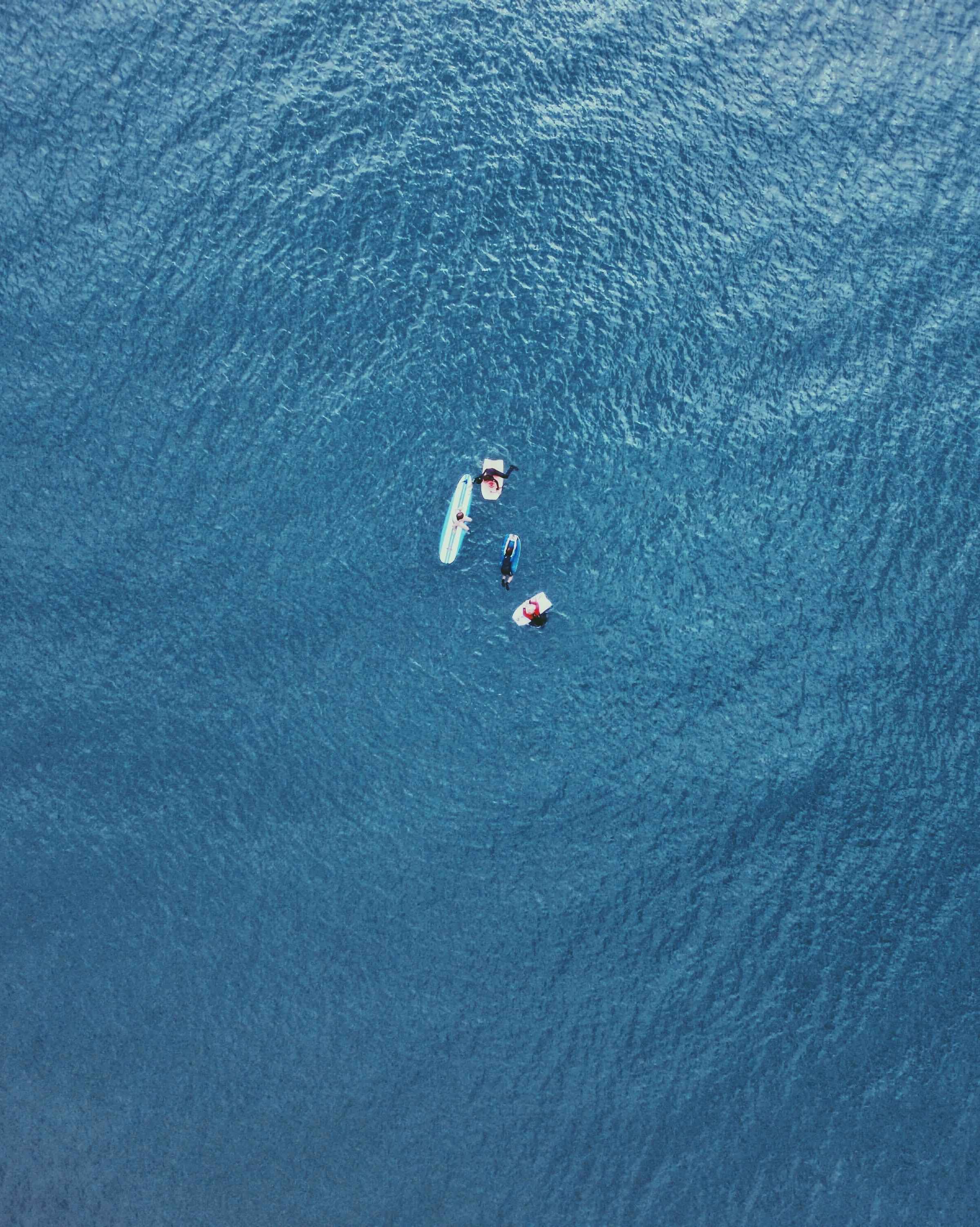 waterboarding in the ocean with friends, _waterboard in the ocean 4k, Phone HD Wallpaper