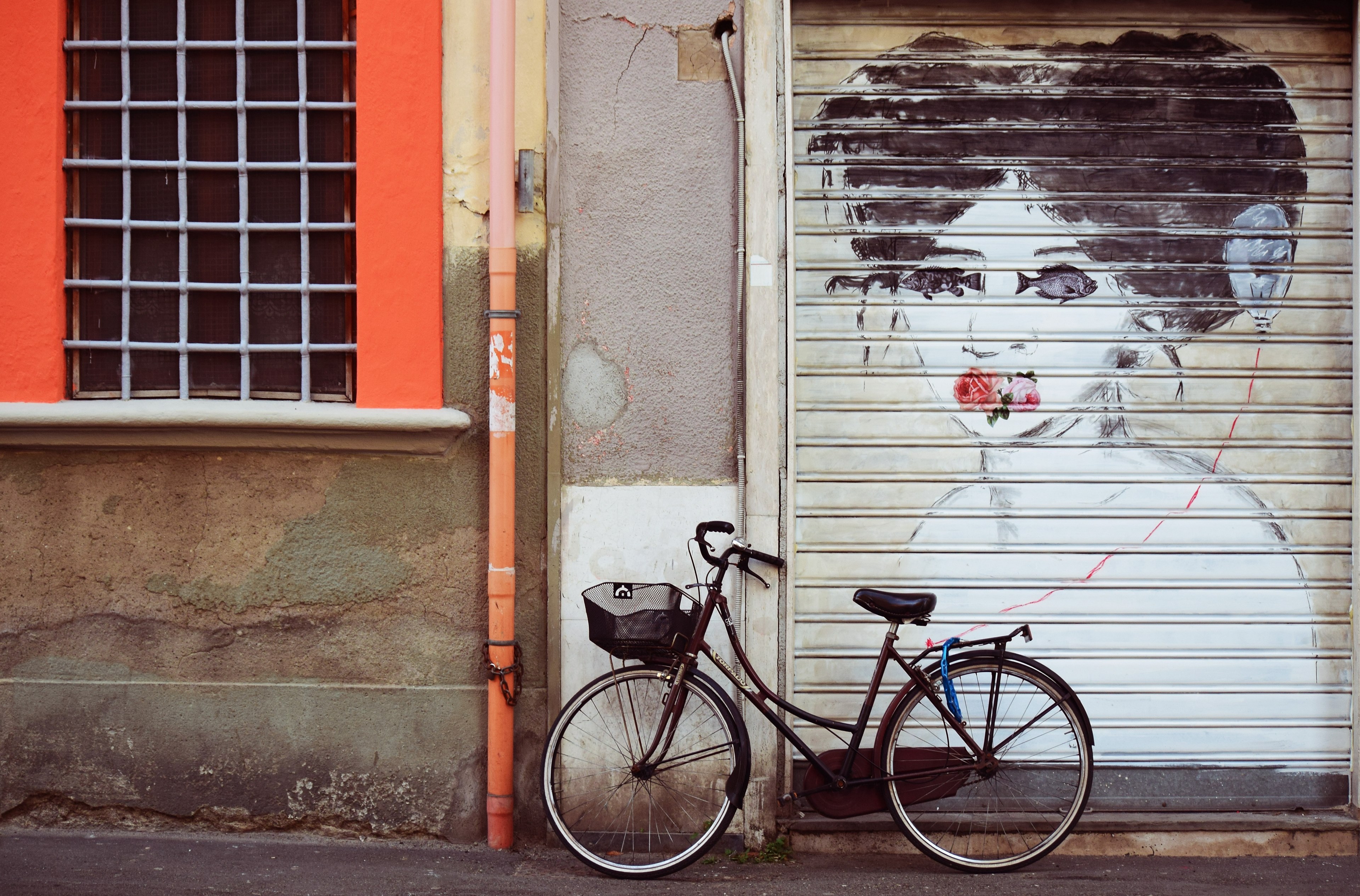 bike bicycle shutters and door 4k, HD Wallpaper