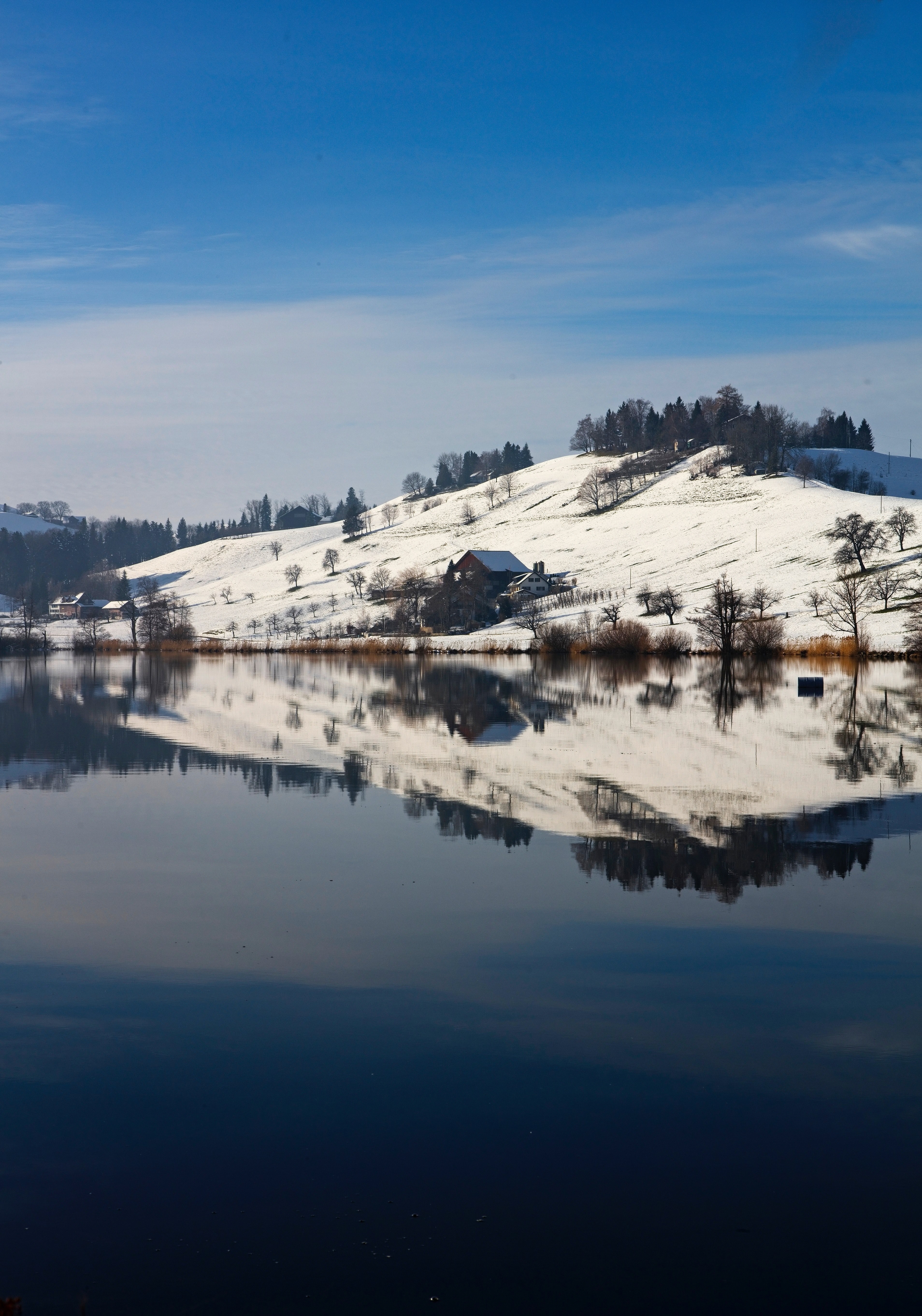 winter reflections 4k, Phone HD Wallpaper