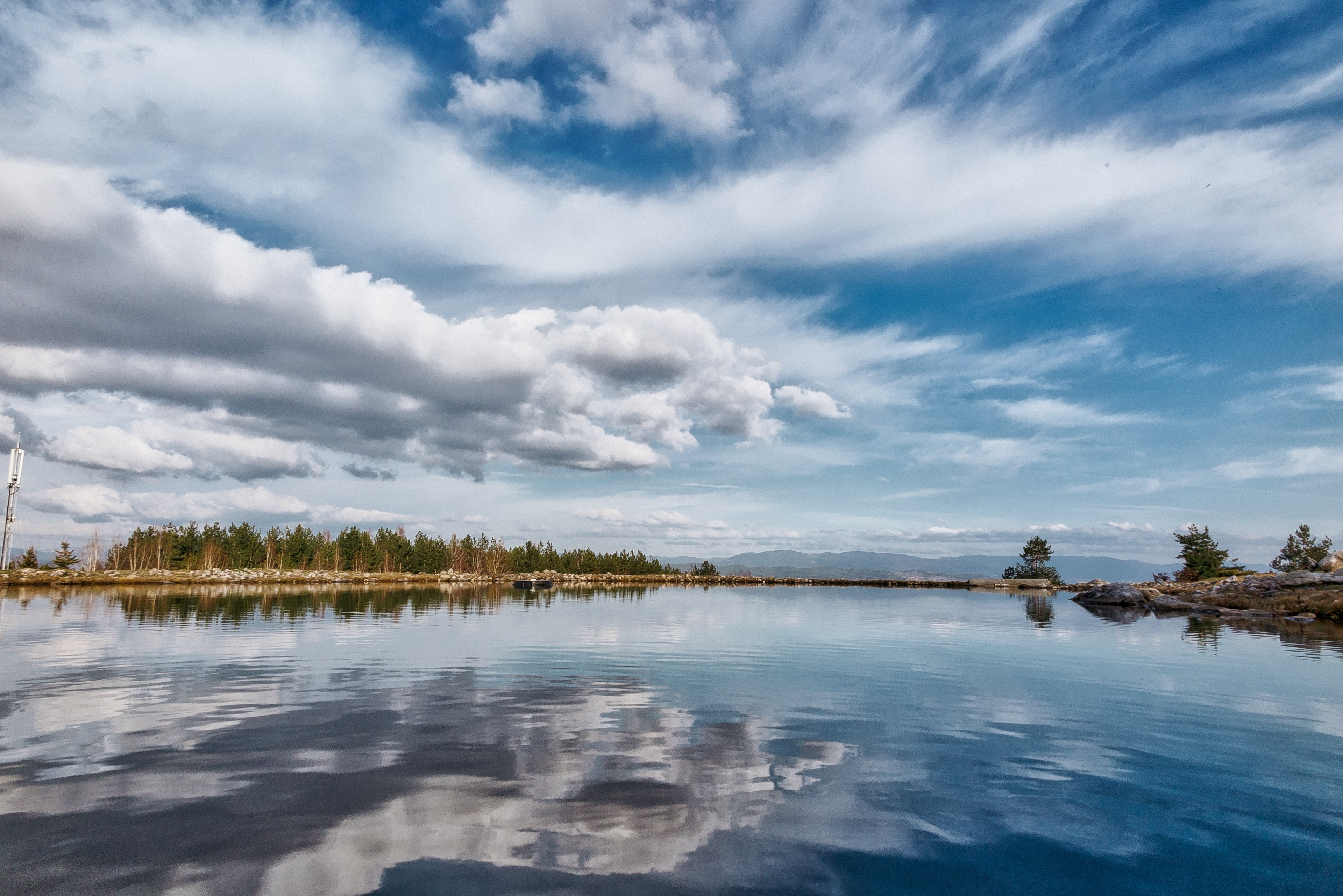 tree outdoor scenic and cloud 4k, HD Wallpaper