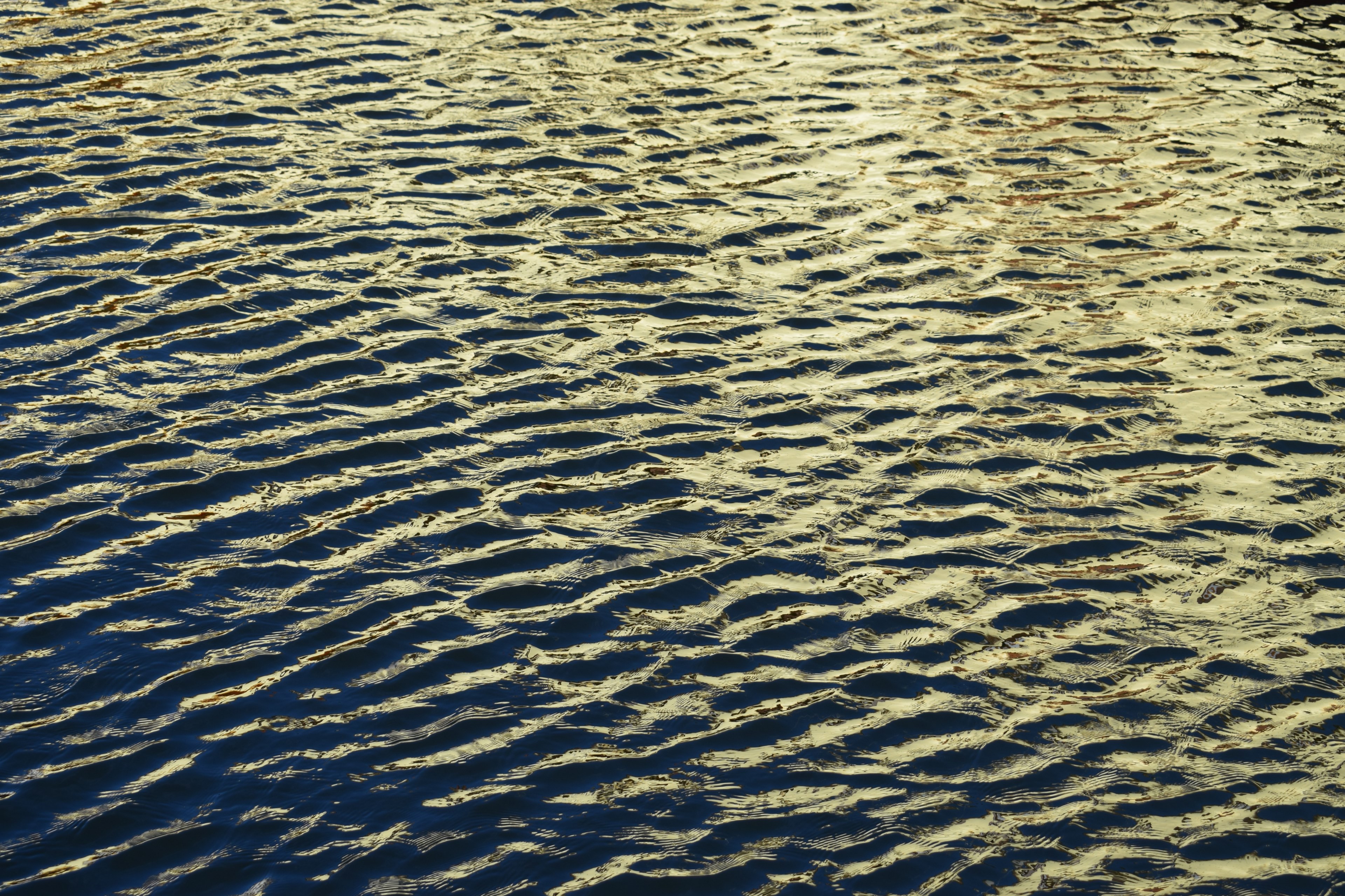 texture 4k, HD Wallpaper