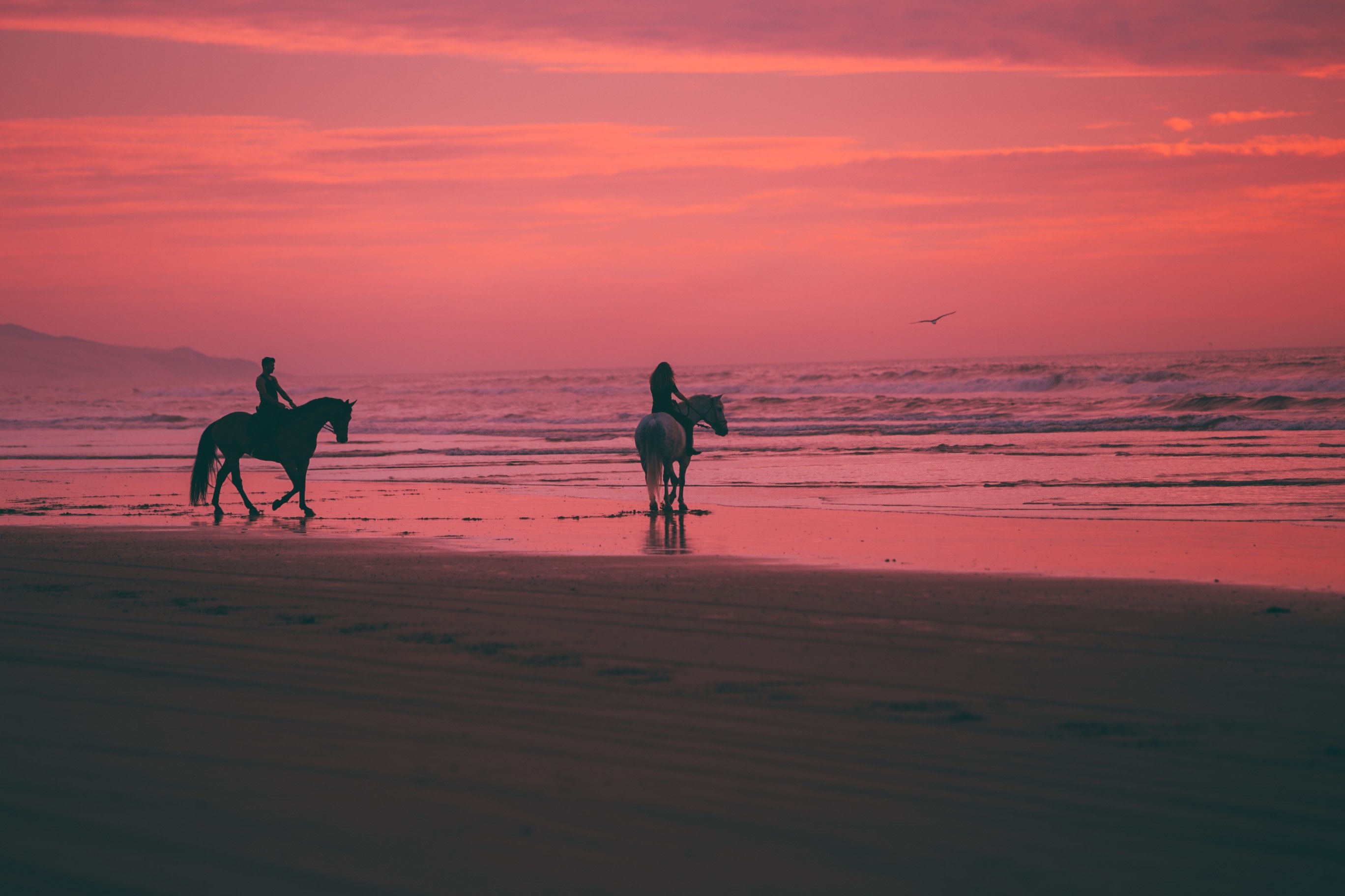 sunset on horseback 4k, HD Wallpaper