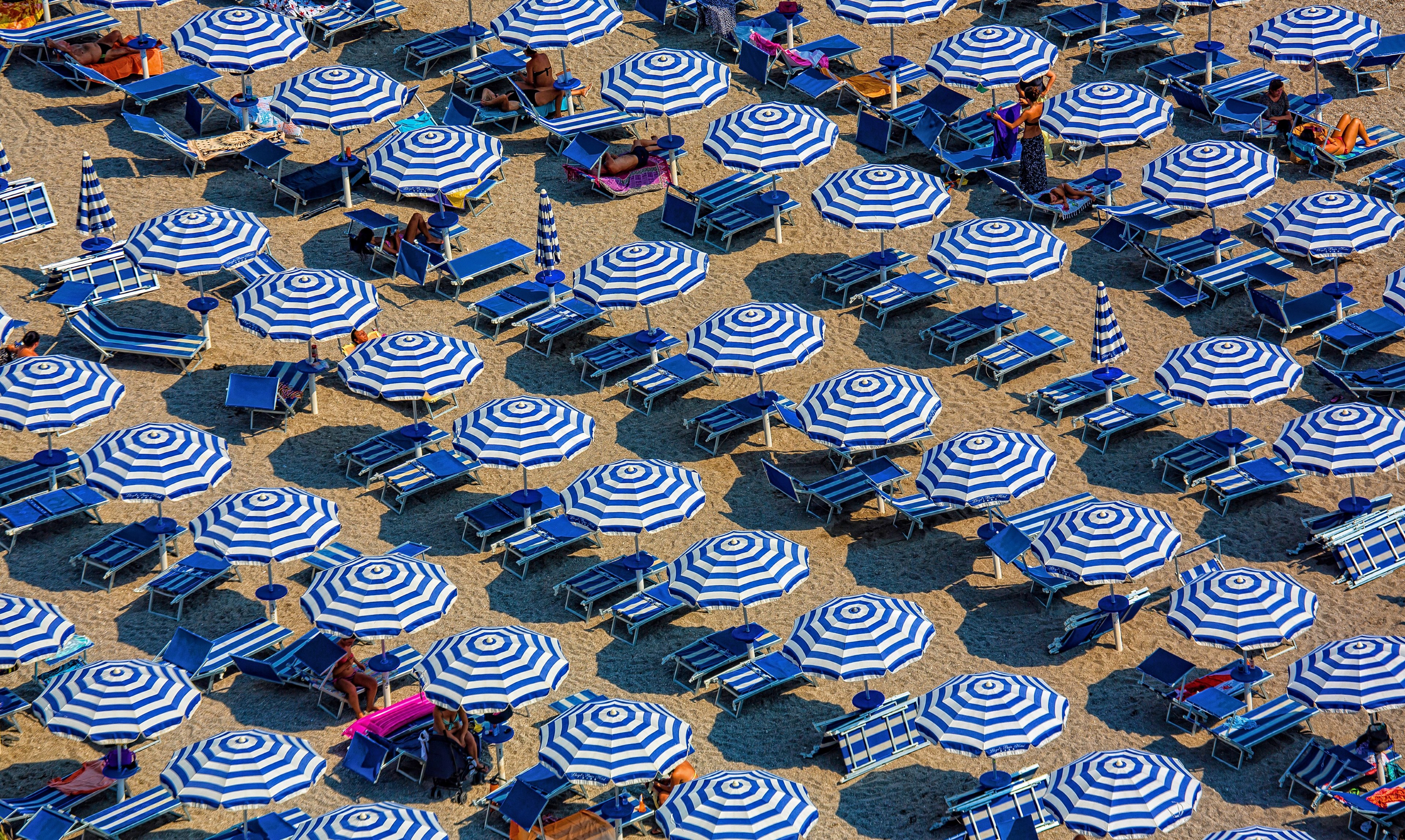 a high angle shot of rows of white and blue umbrellas over blue deck chairs lining a sandy beach, beach in white and blue 4k, HD Wallpaper
