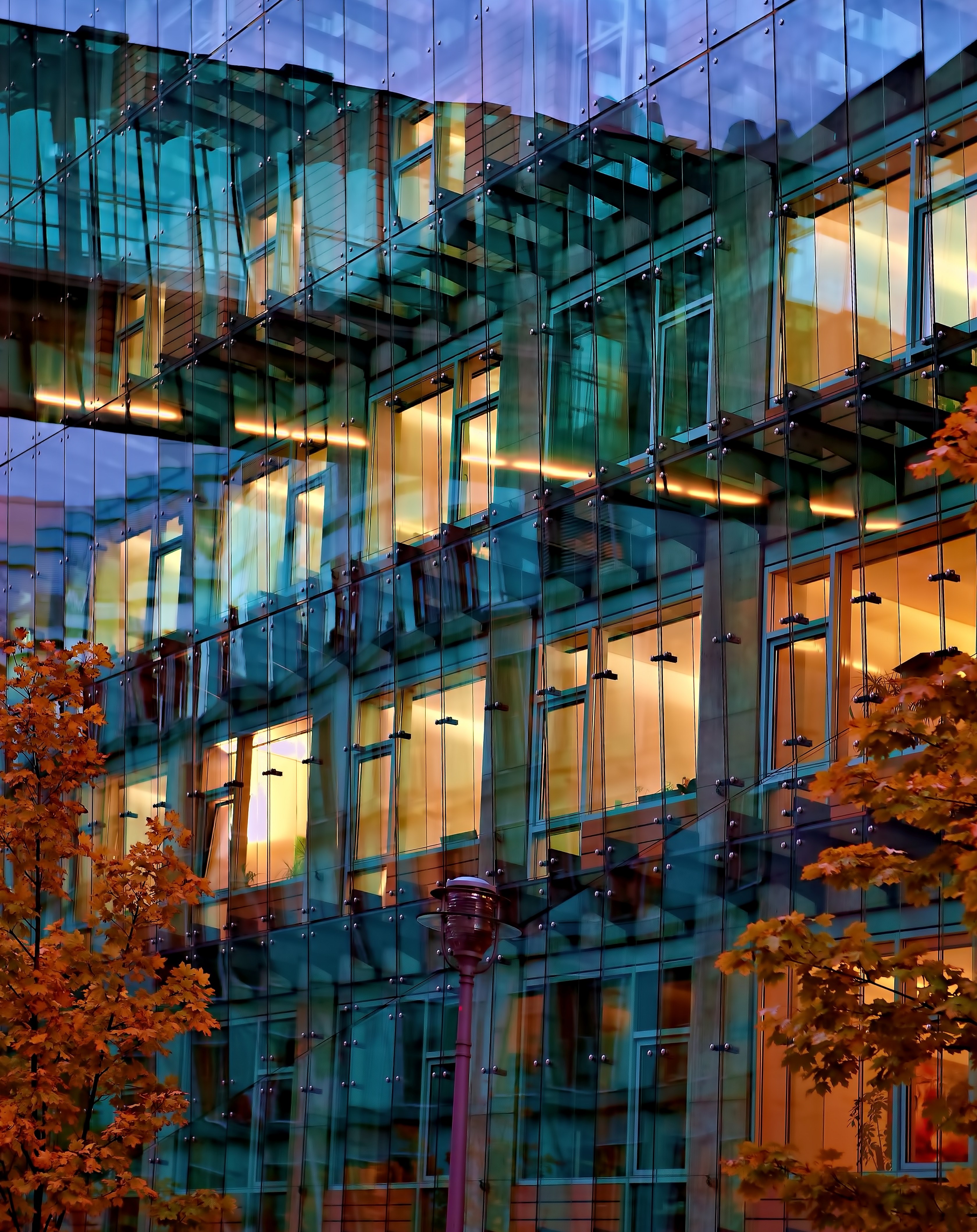 autumn in berlin 4k, Phone HD Wallpaper