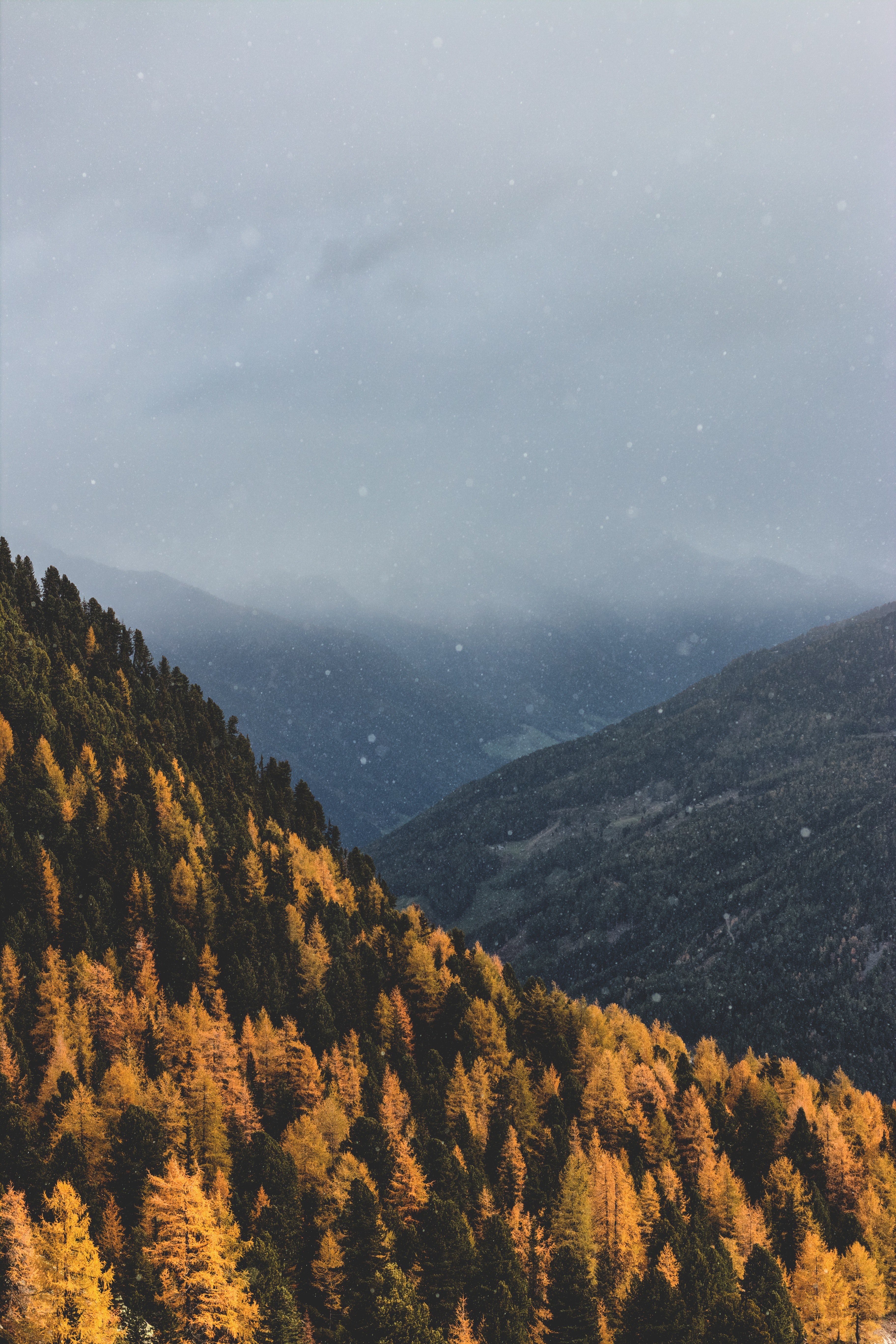 autumnal snowfall 4k, Phone HD Wallpaper