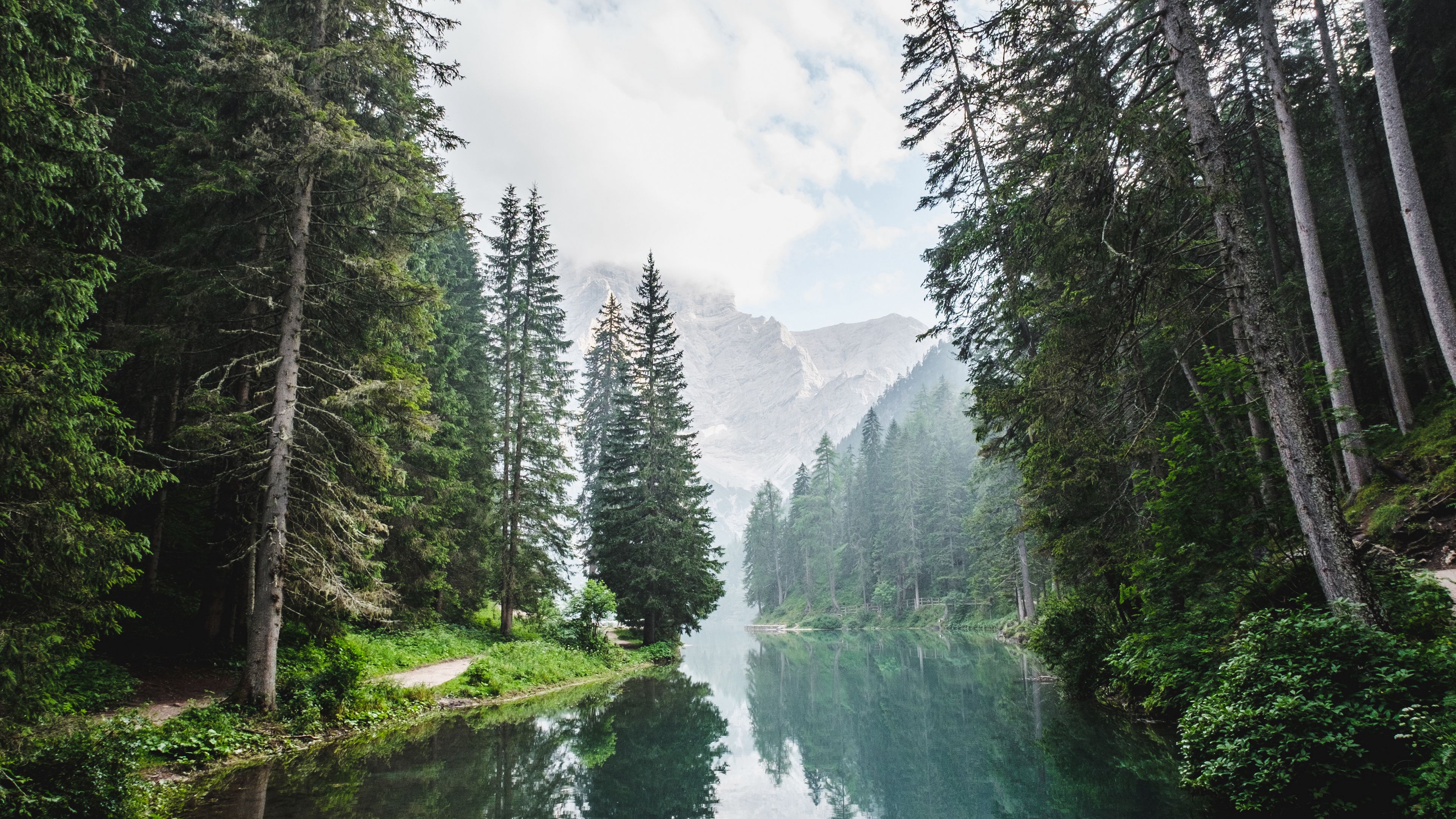trees, lake, forest, clouds, 4k, HD Wallpaper