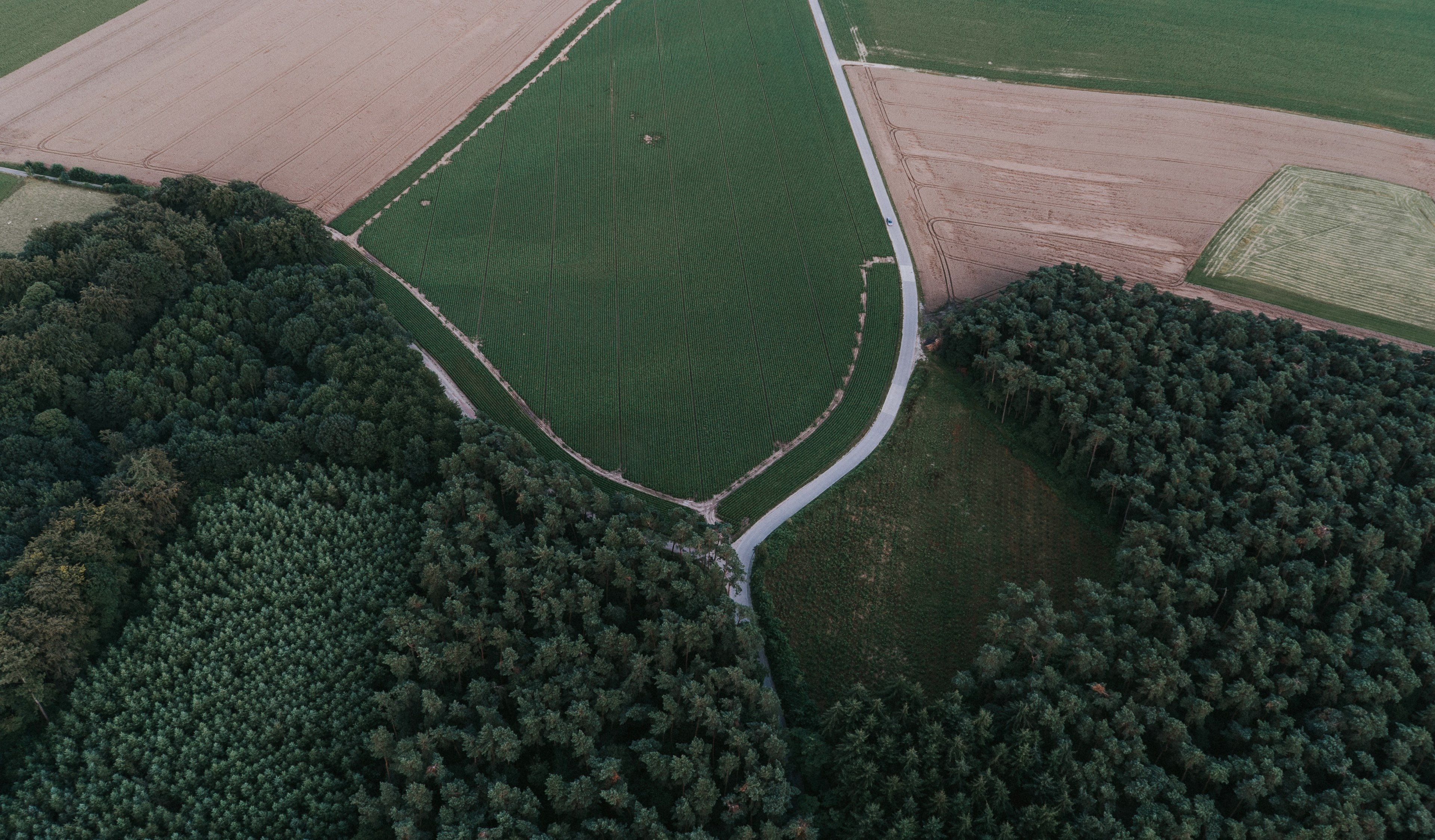 a road among green fields and evergreen woods in ottignies, road between woods and fields 4k, HD Wallpaper