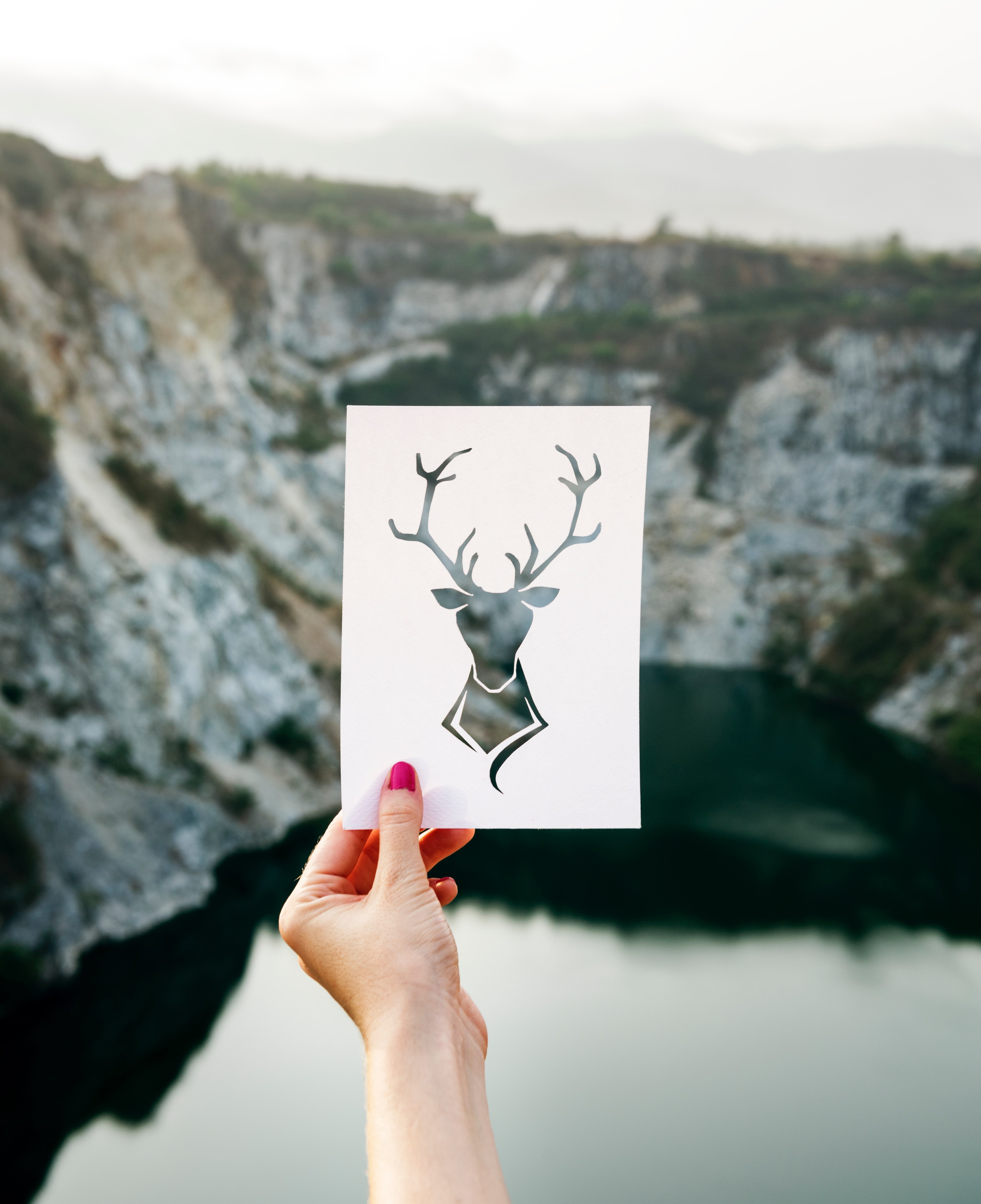 picture print stag and art hd, 4k, Phone HD Wallpaper