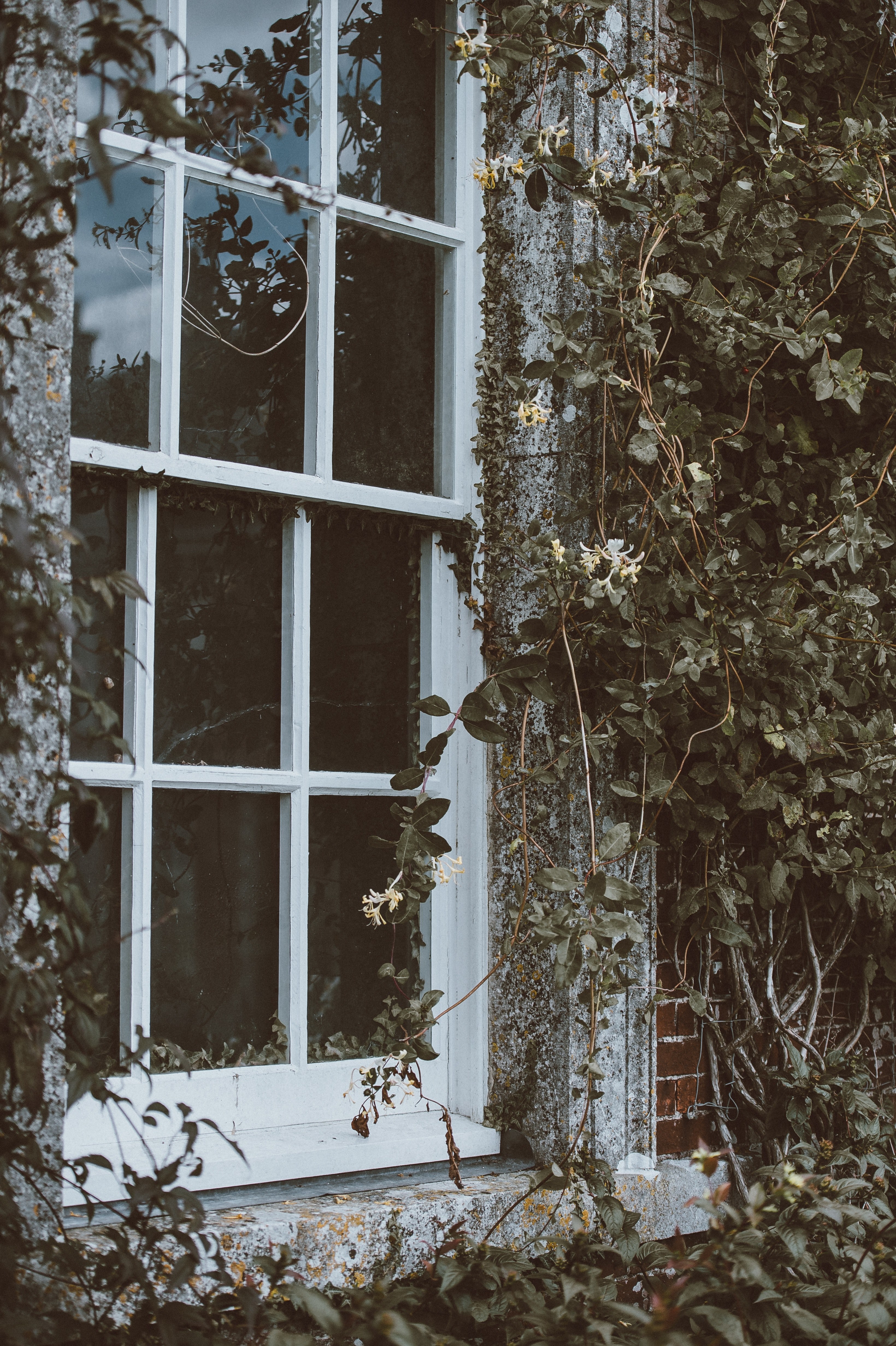 uppark house petersfield 4k, Phone HD Wallpaper