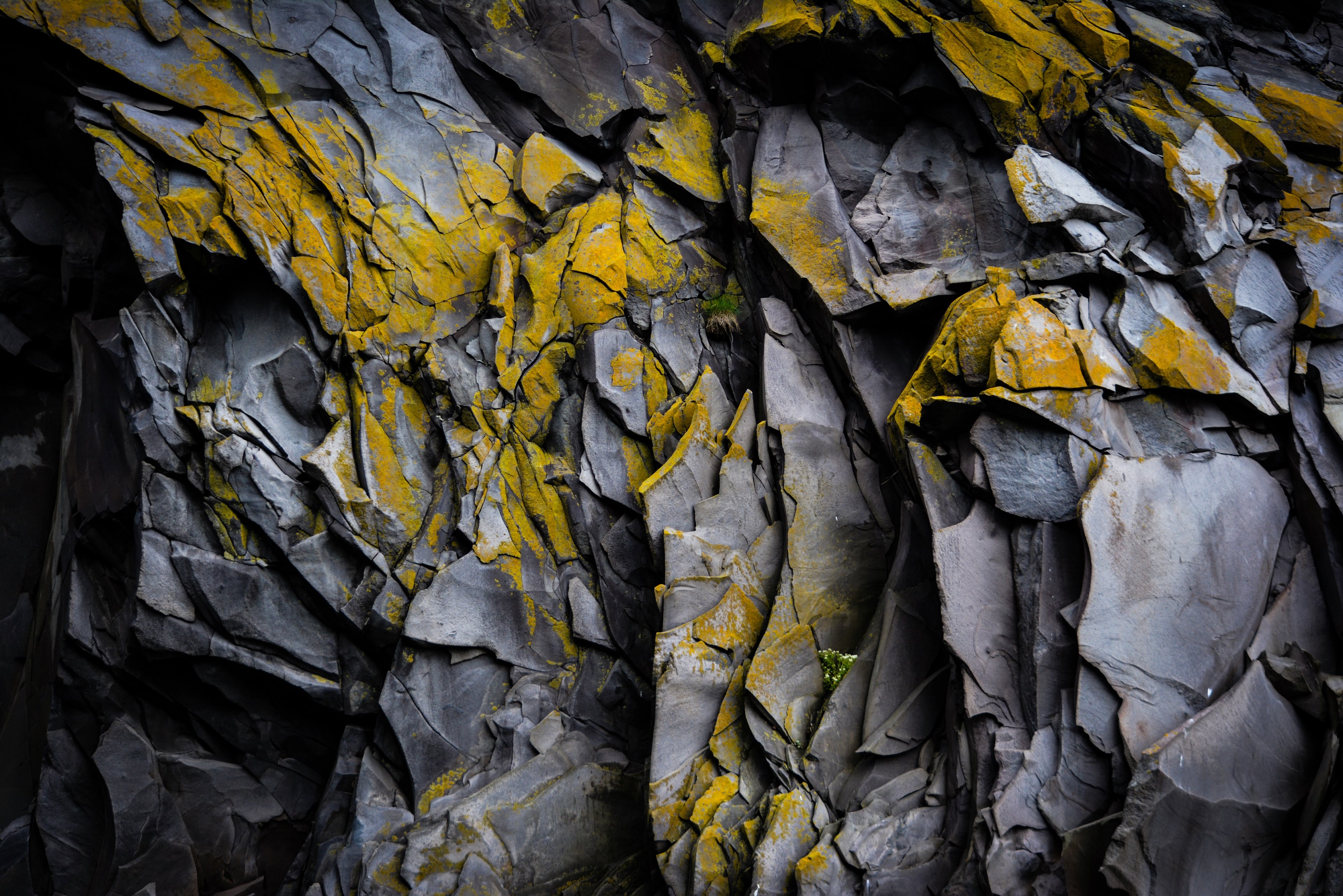 rocks covered in moss, mossy rocks 4k, HD Wallpaper