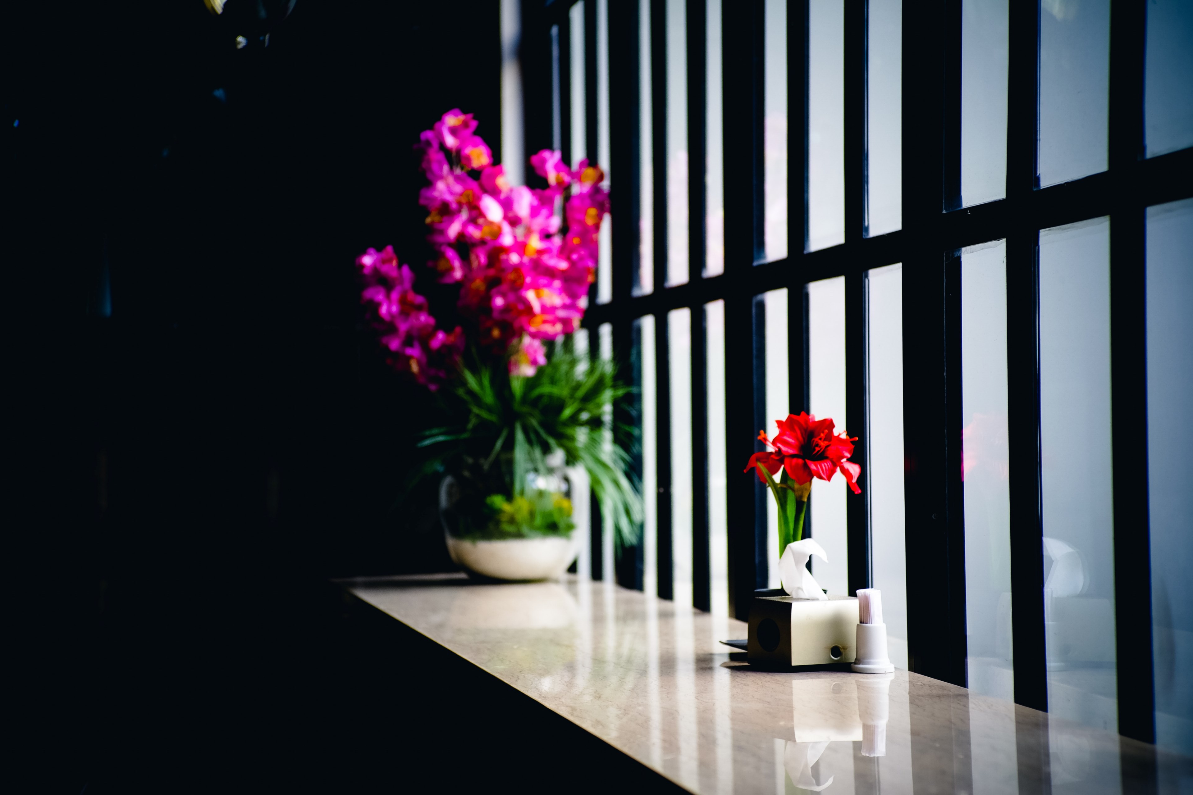 small red flowers in a pot and a larger flowerpot with pink flowers on a marble windowsill, alienated 4k, HD Wallpaper