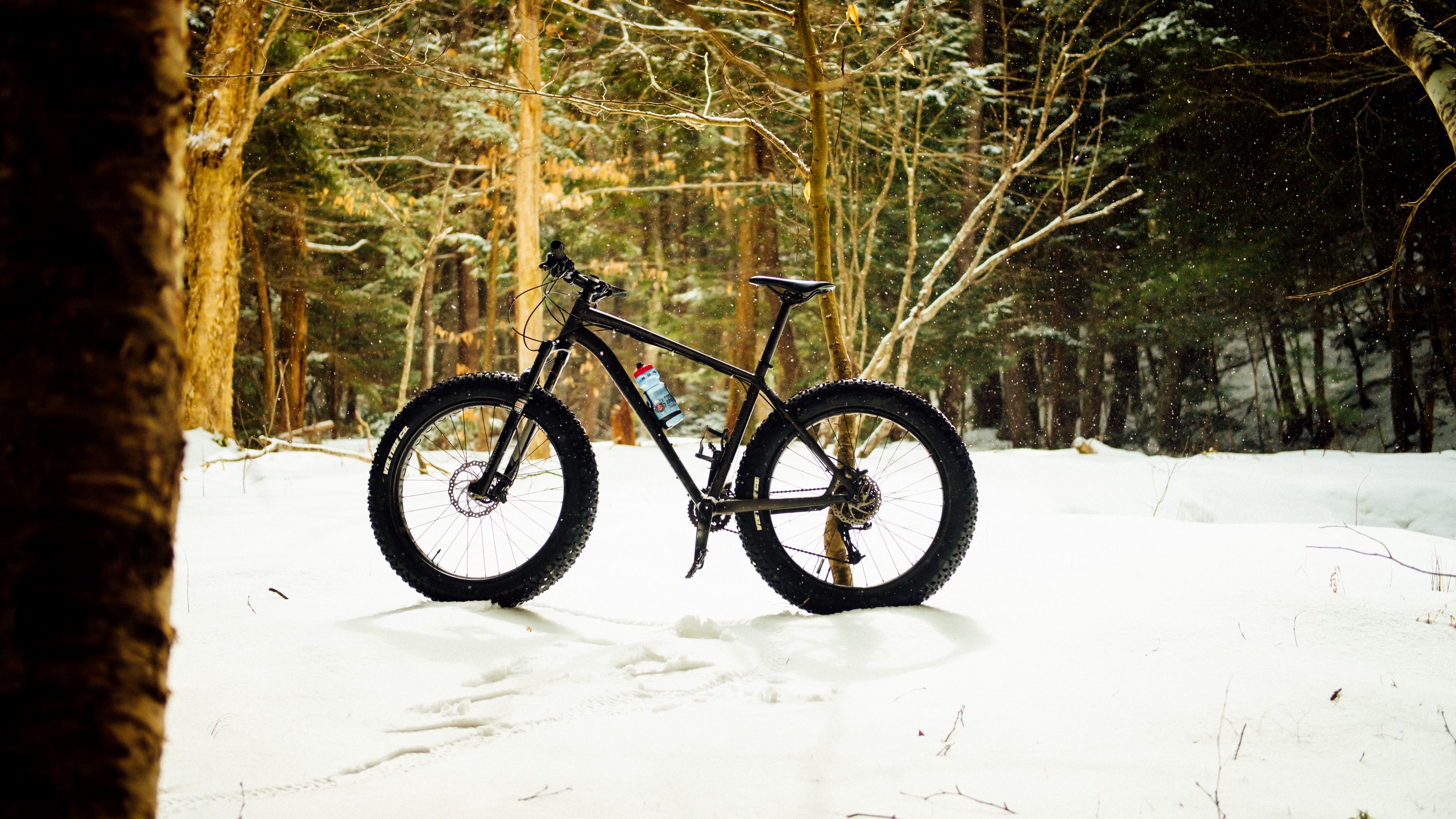 bike, forest, snow, 4k, HD Wallpaper
