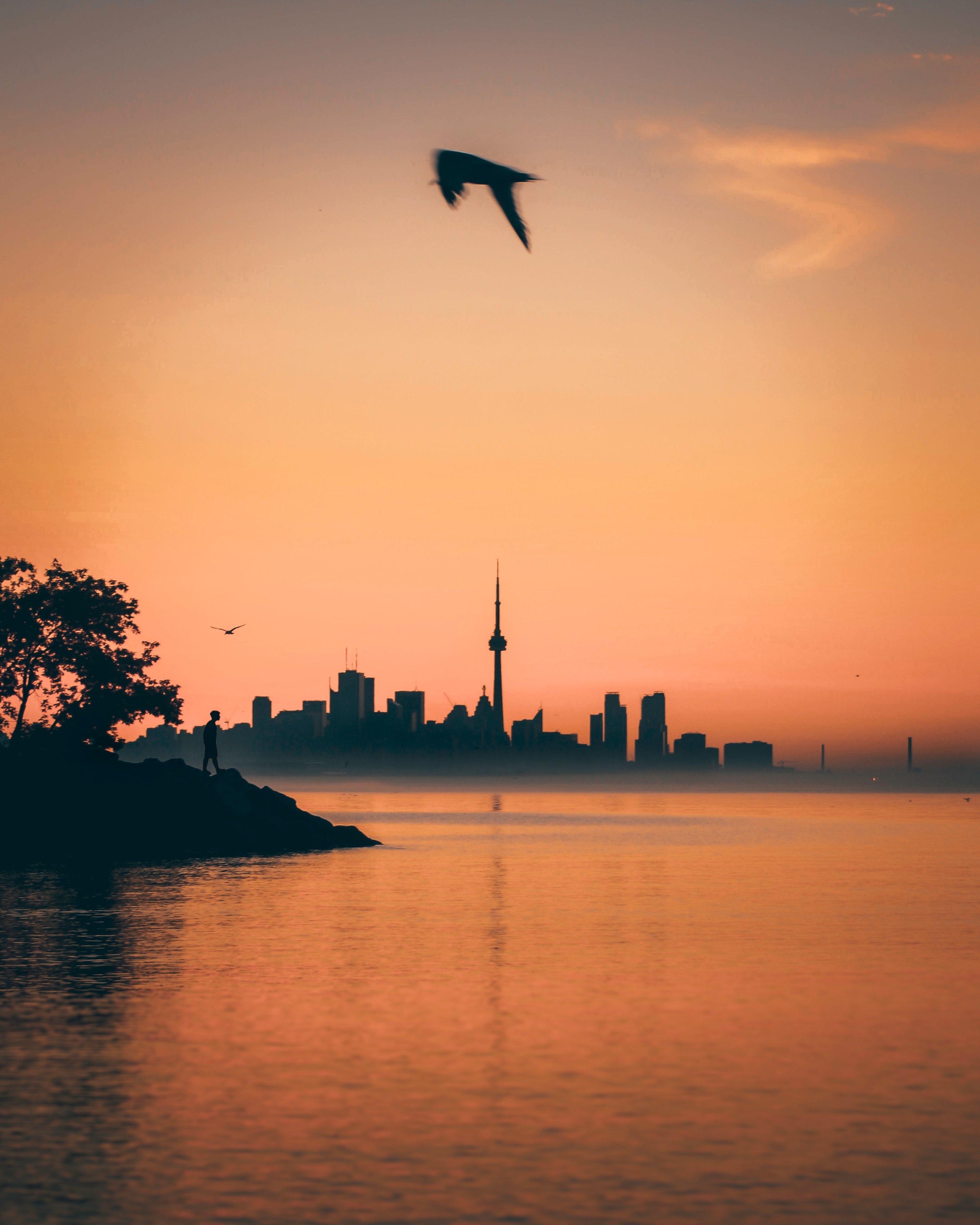 skyline cityskyline flight and lake hd, 4k, Phone HD Wallpaper
