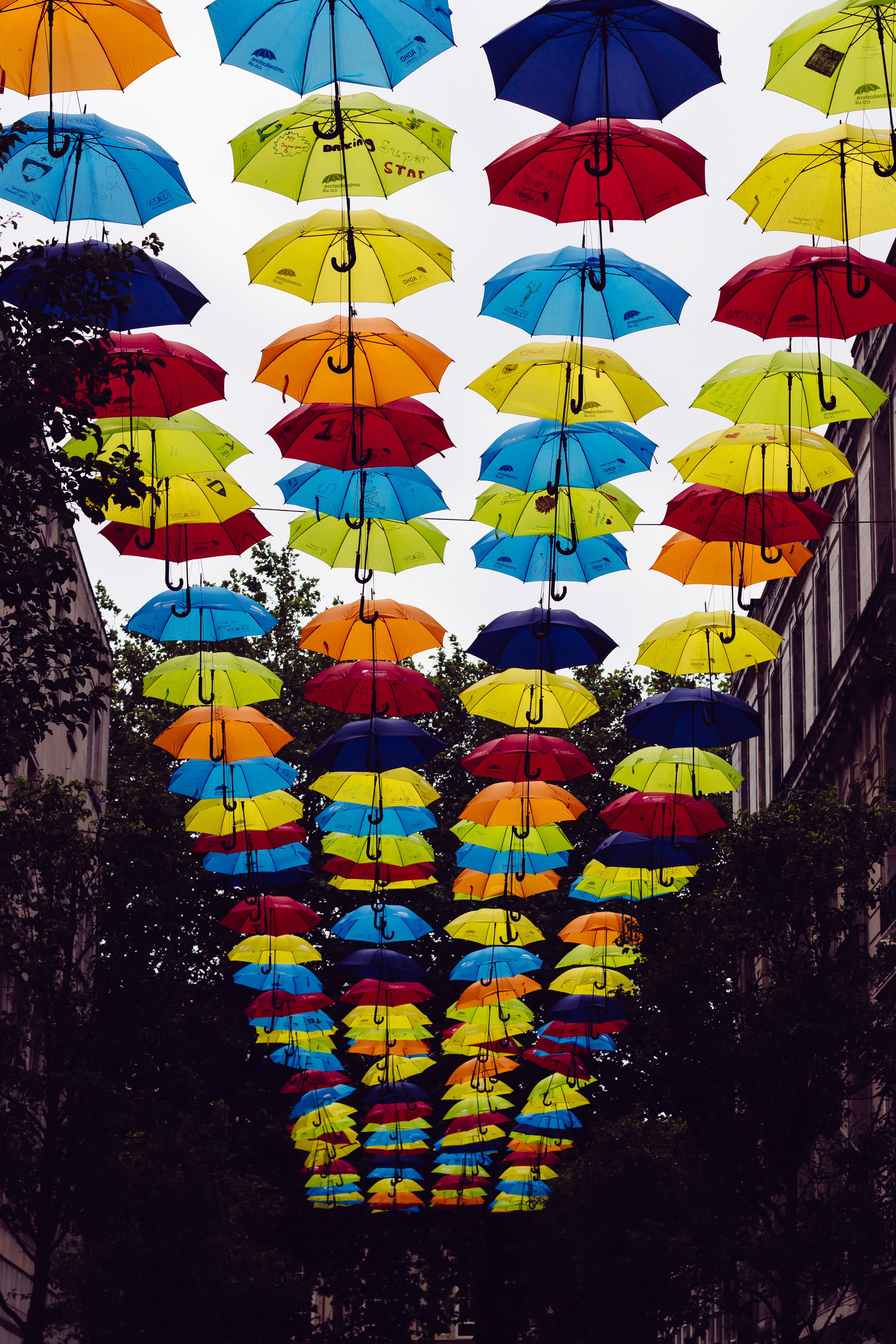 brightly colored umbrella street art decorations between buildings and trees in liverpool england united kingdom, bright umbrellas liverpool 4k, Phone HD Wallpaper