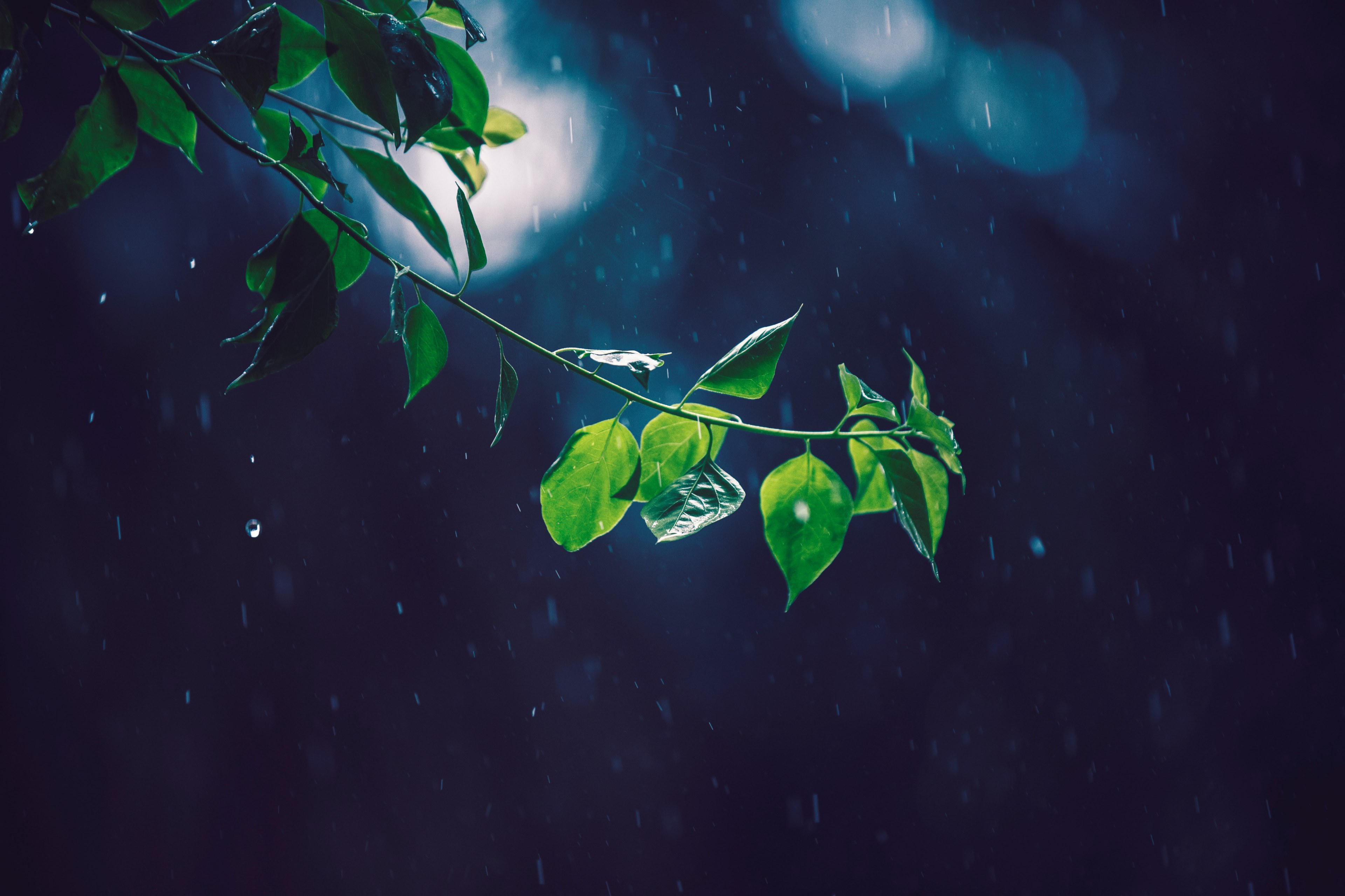 october rain 4k, HD Wallpaper