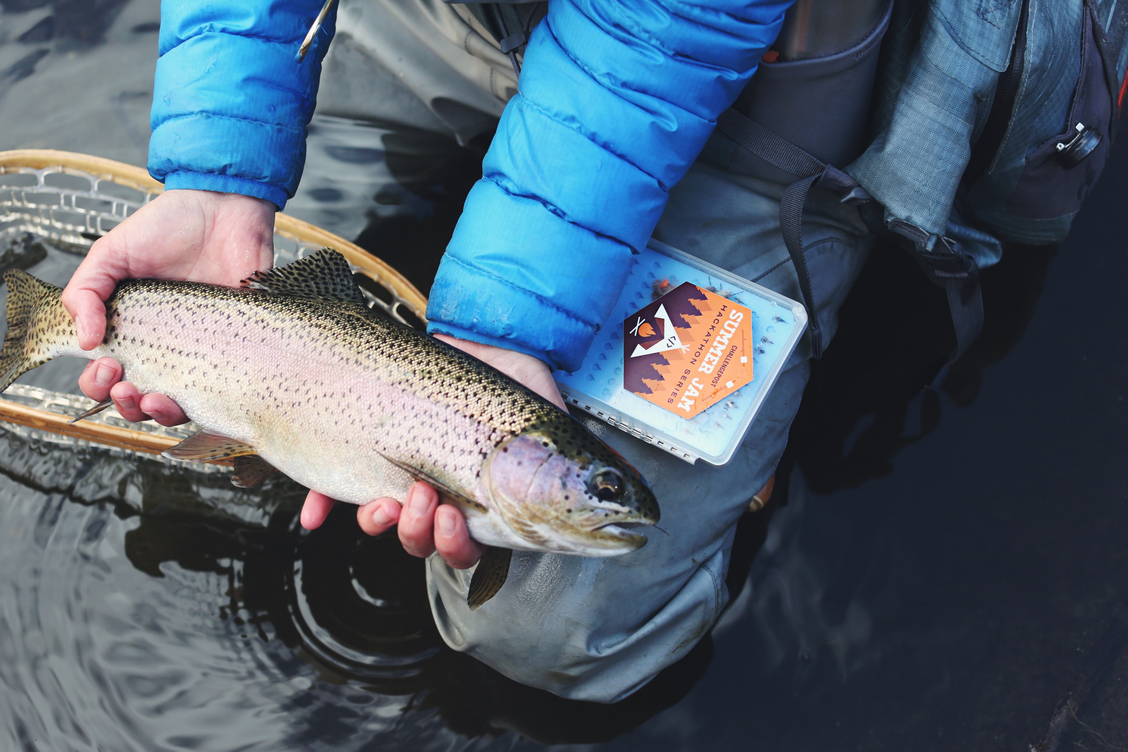 a fisherman holding a caught fish in his hands, catch of the day 4k, HD Wallpaper