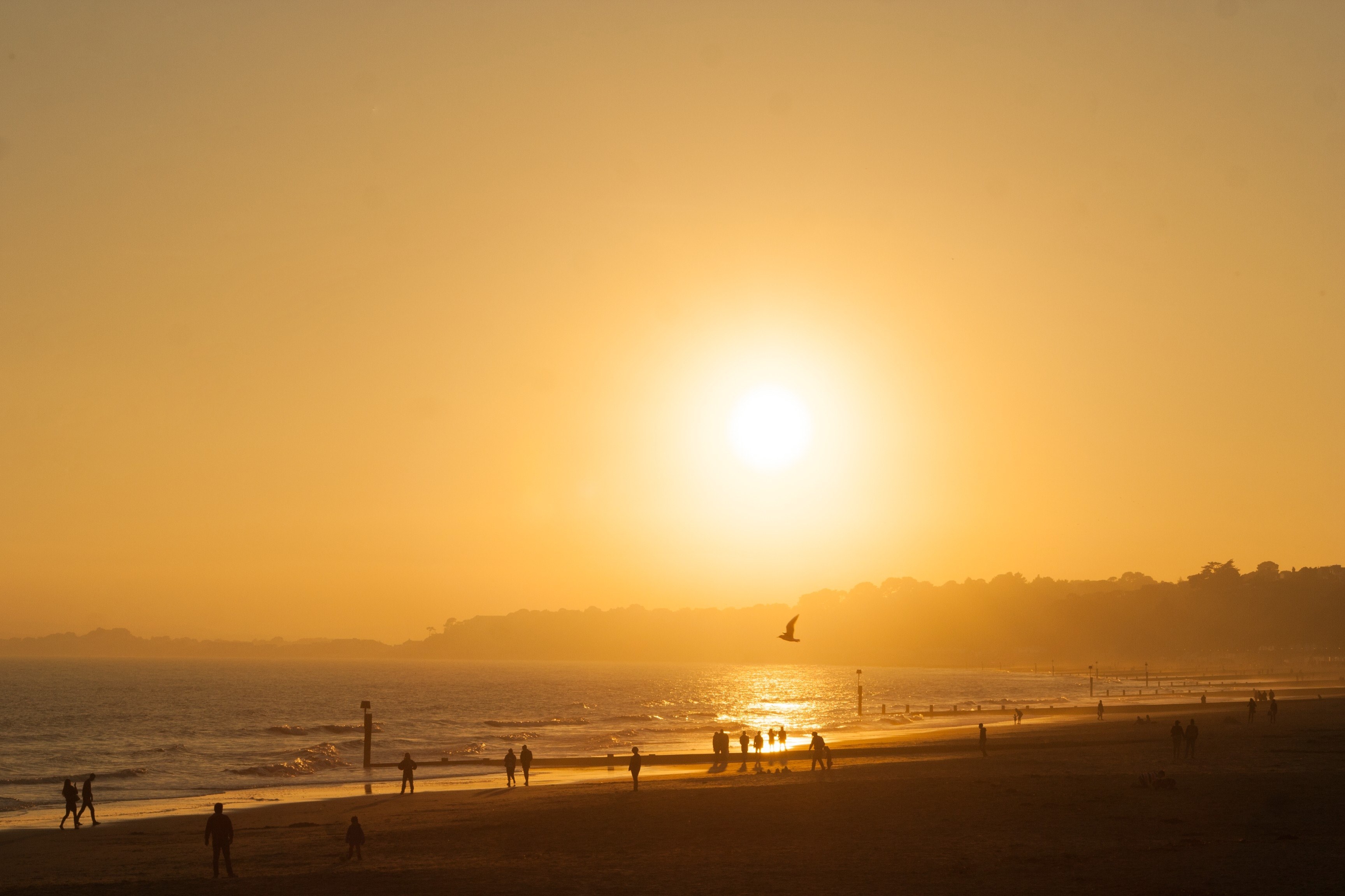 the horizon features the sunset casting yellow color over beach in bournemouth, yellow rays in bournemouth beach 4k, HD Wallpaper