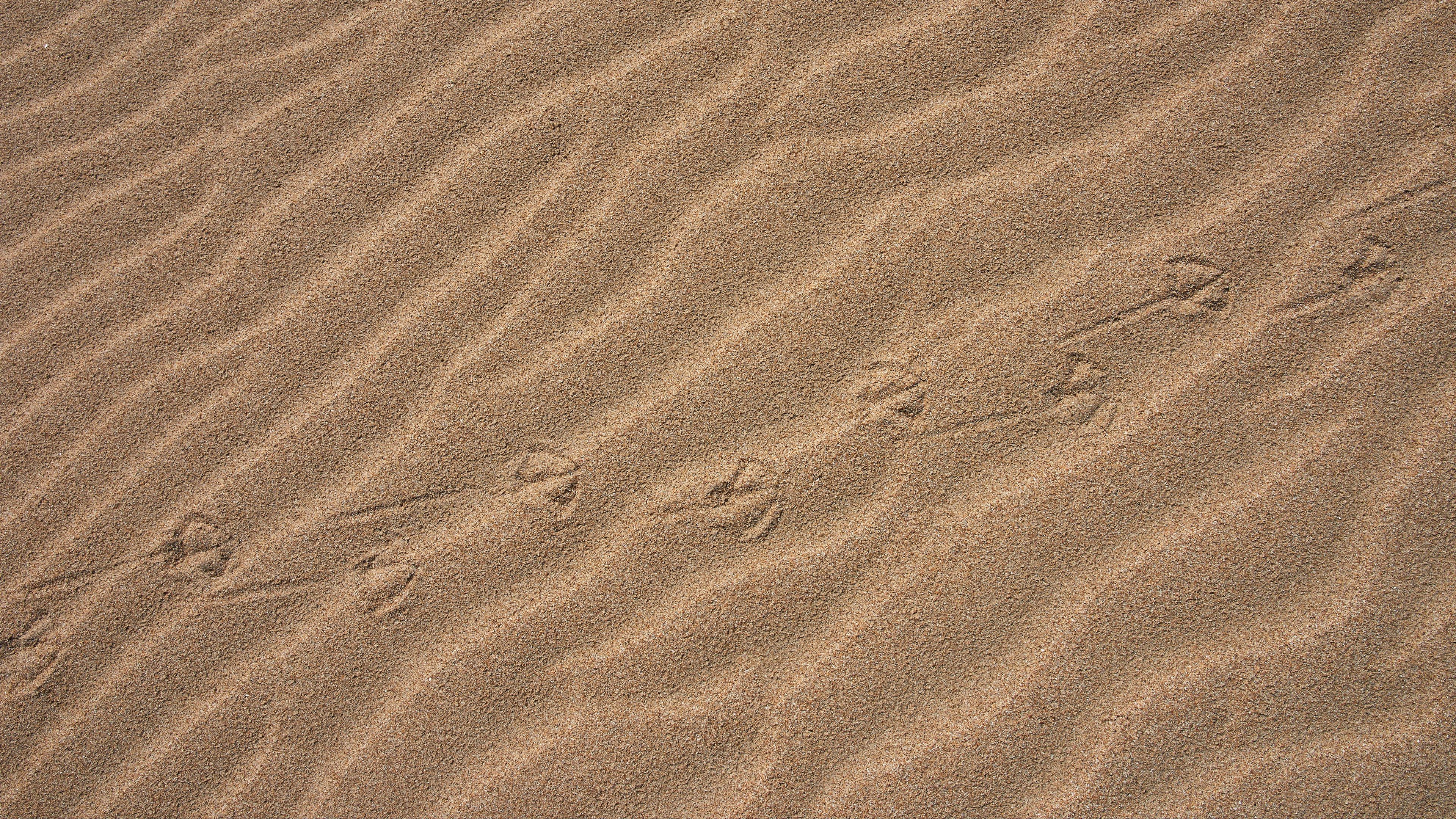 sand, traces, desert, 4k, HD Wallpaper