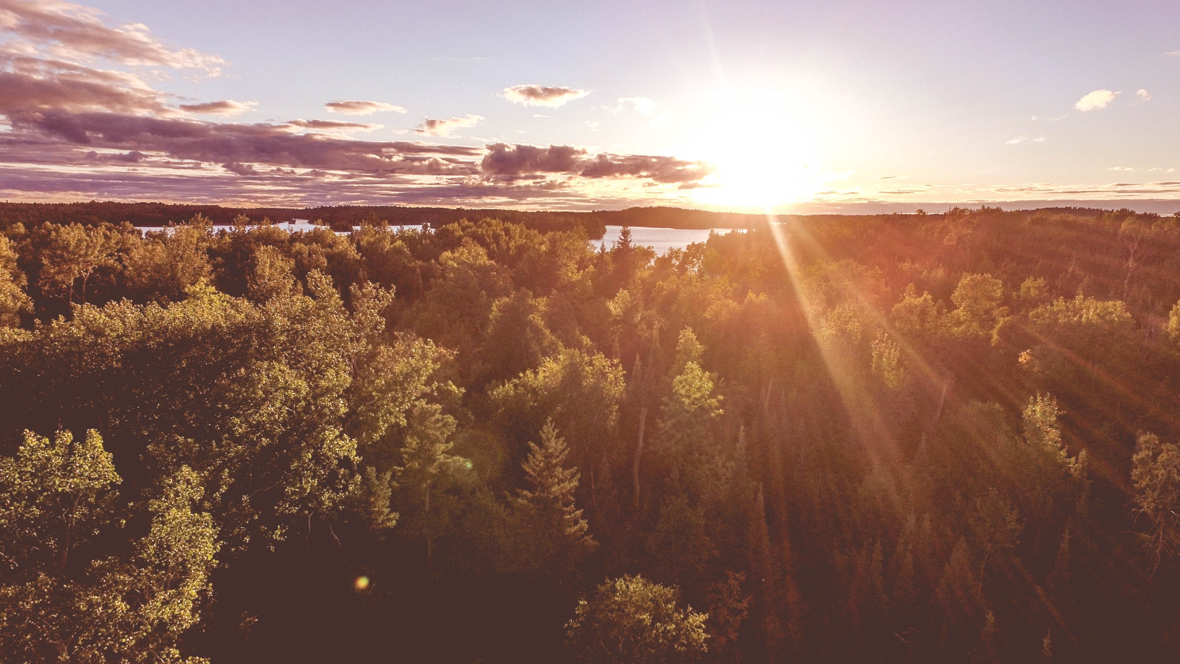 warm sunrays over a forest near a river bend in ontario, sunrays over woods 4k, HD Wallpaper